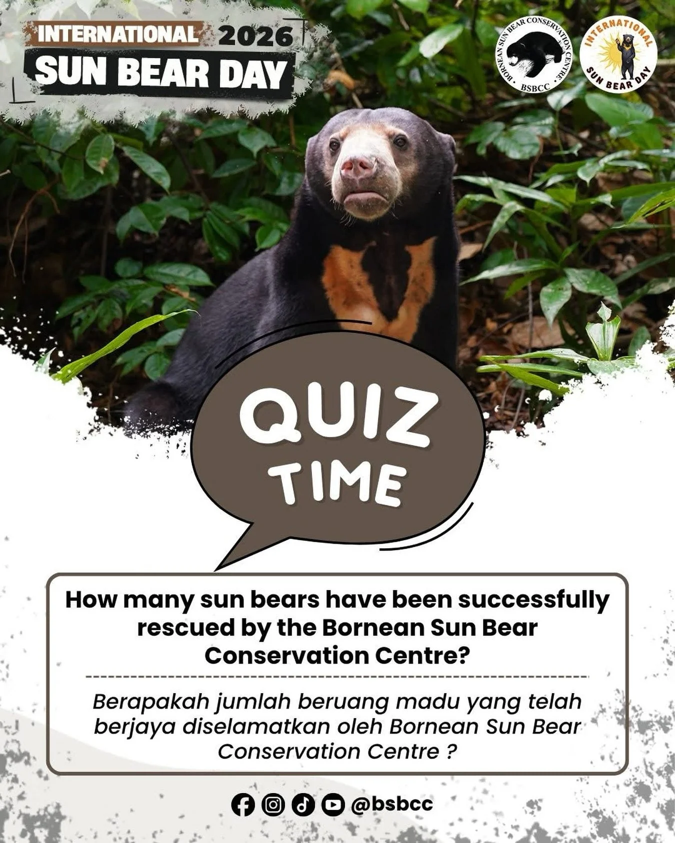 Sun Bear Quiz Challenge Round 3 🐻🌟
This is the 3rd and final question, don&rsquo;t miss your chance to answer!

📲 Answer submitted via Facebook Messenger
📝 Submit together with your Contact Number, Email Address, Mailing Address
⚡ Fastest correct