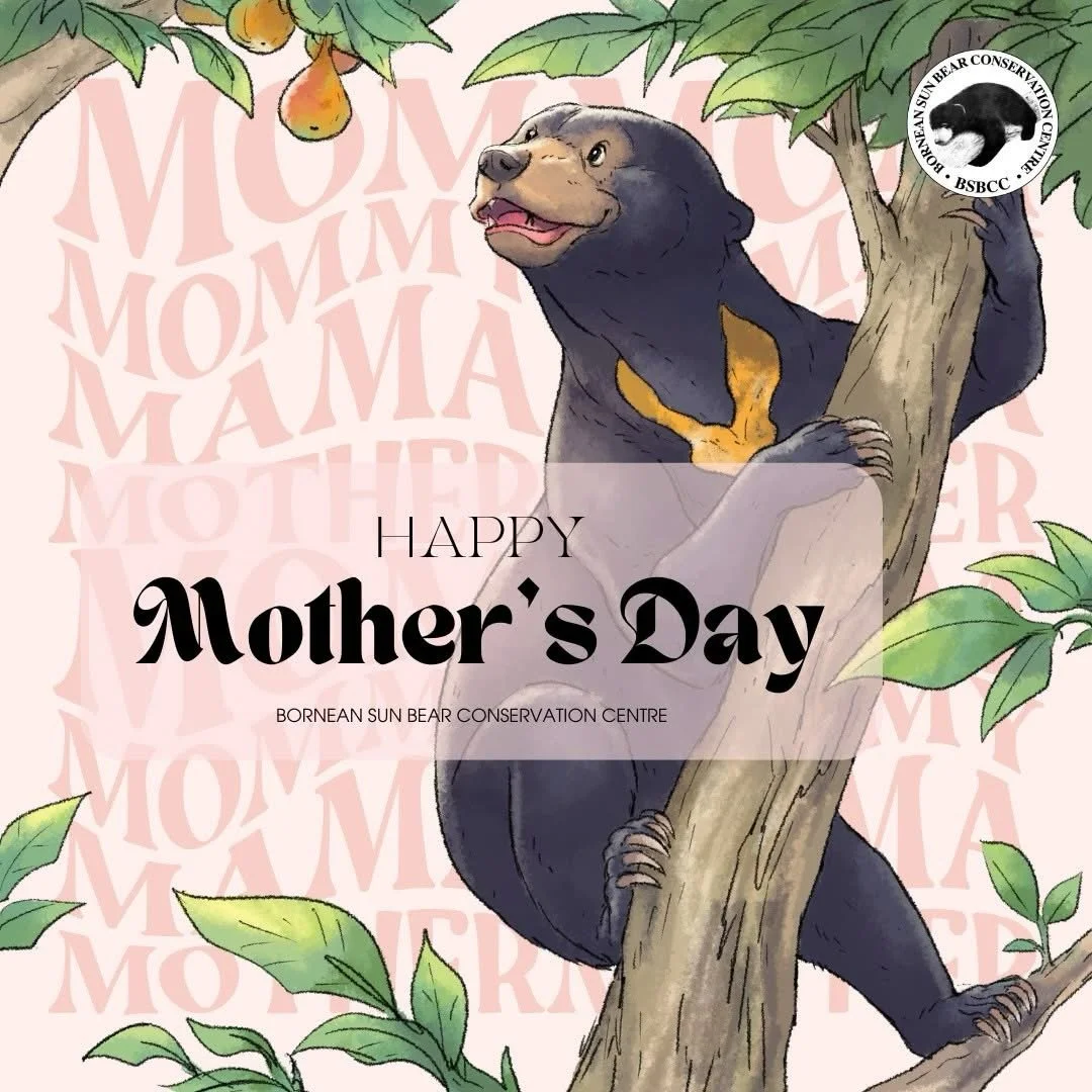Happy Mother&rsquo;s Day to all the amazing mothers out there! 💖💖

Today, we celebrate the strength, care, and unconditional love of every mother around the world.

And while you&rsquo;re celebrating this special day, don&rsquo;t forget to come and