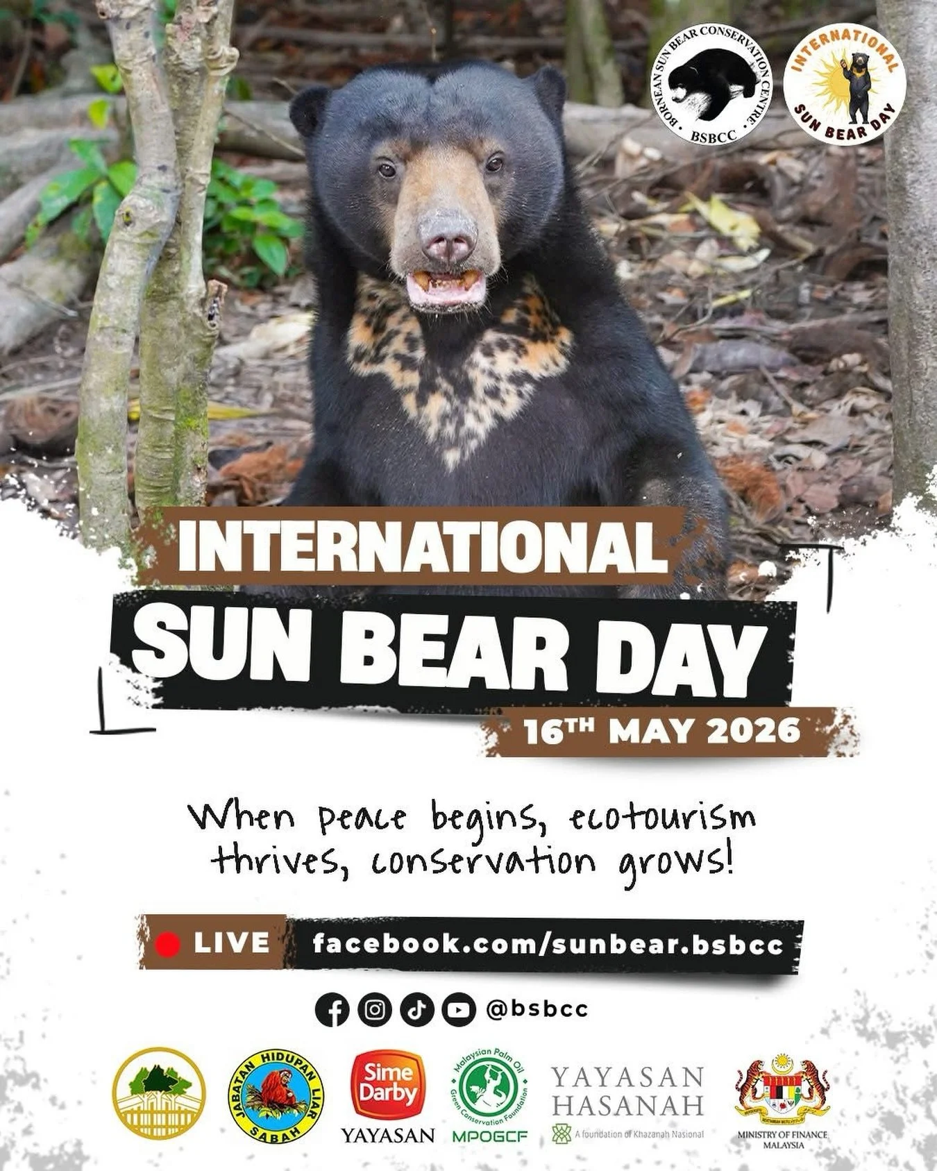 Are you ready to celebrate International Sun Bear Day 2026 with us? 🎉

International Sun Bear Day is just around the corner (16 May), and we can&rsquo;t wait to celebrate this meaningful occasion together with all of you! 🐻 From conservation awaren