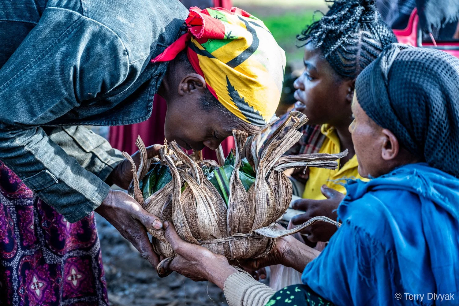 _PZ86506- Ethiopia_Terry_Divyak.jpg