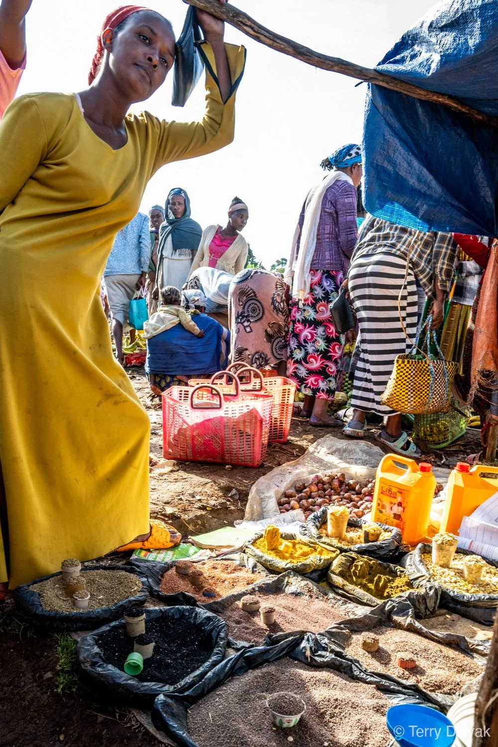_PZ86395- Ethiopia_Terry_Divyak.jpg