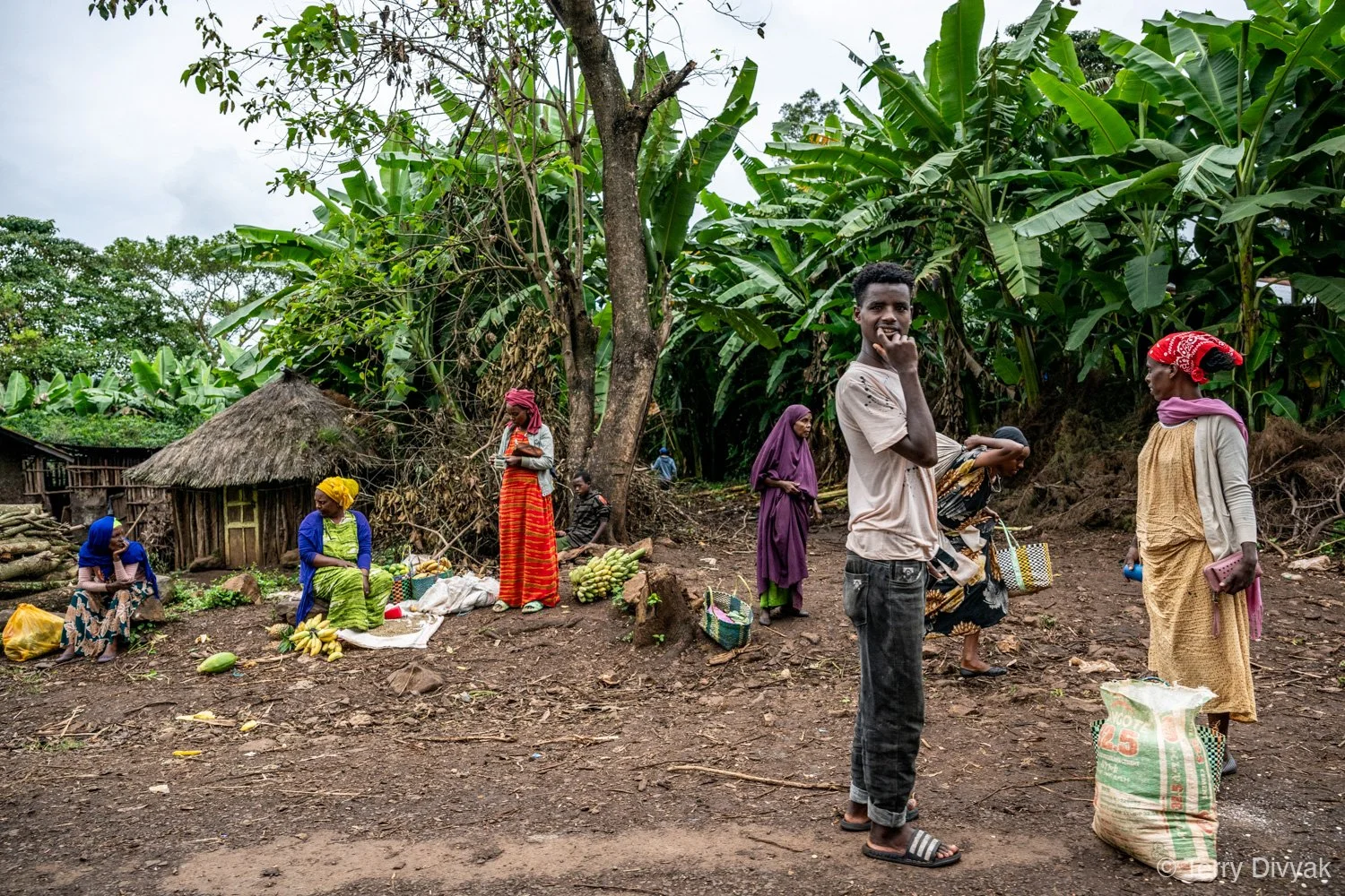 _PZ85582- Ethiopia_Terry_Divyak.jpg