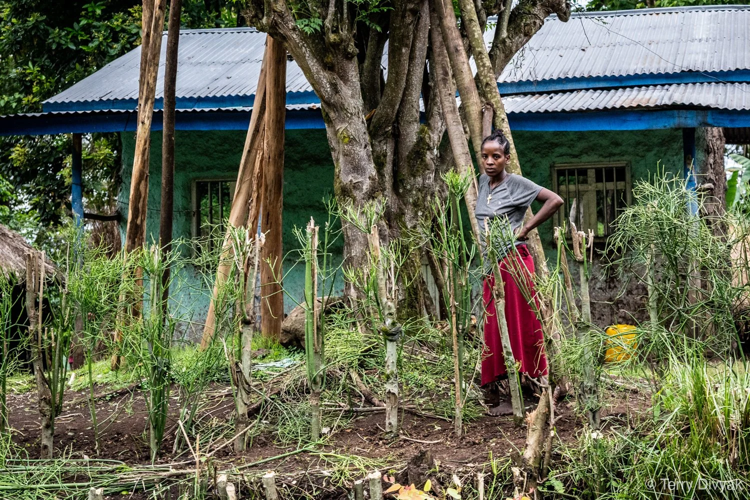 _PZ85622- Ethiopia_Terry_Divyak.jpg