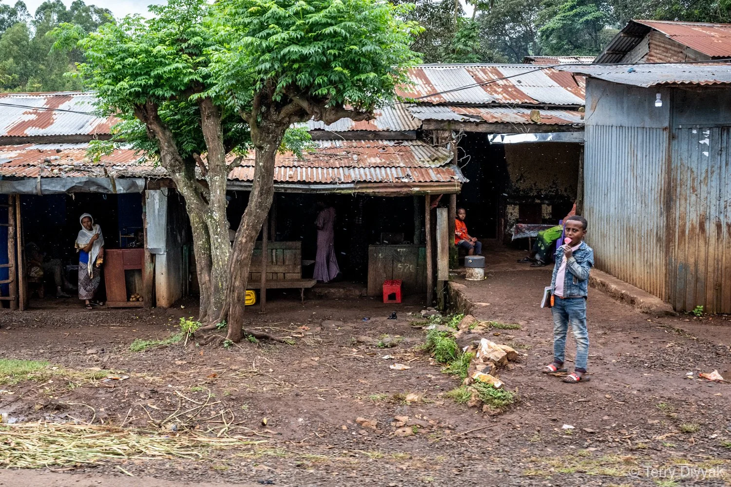 _PZ85675- Ethiopia_Terry_Divyak.jpg