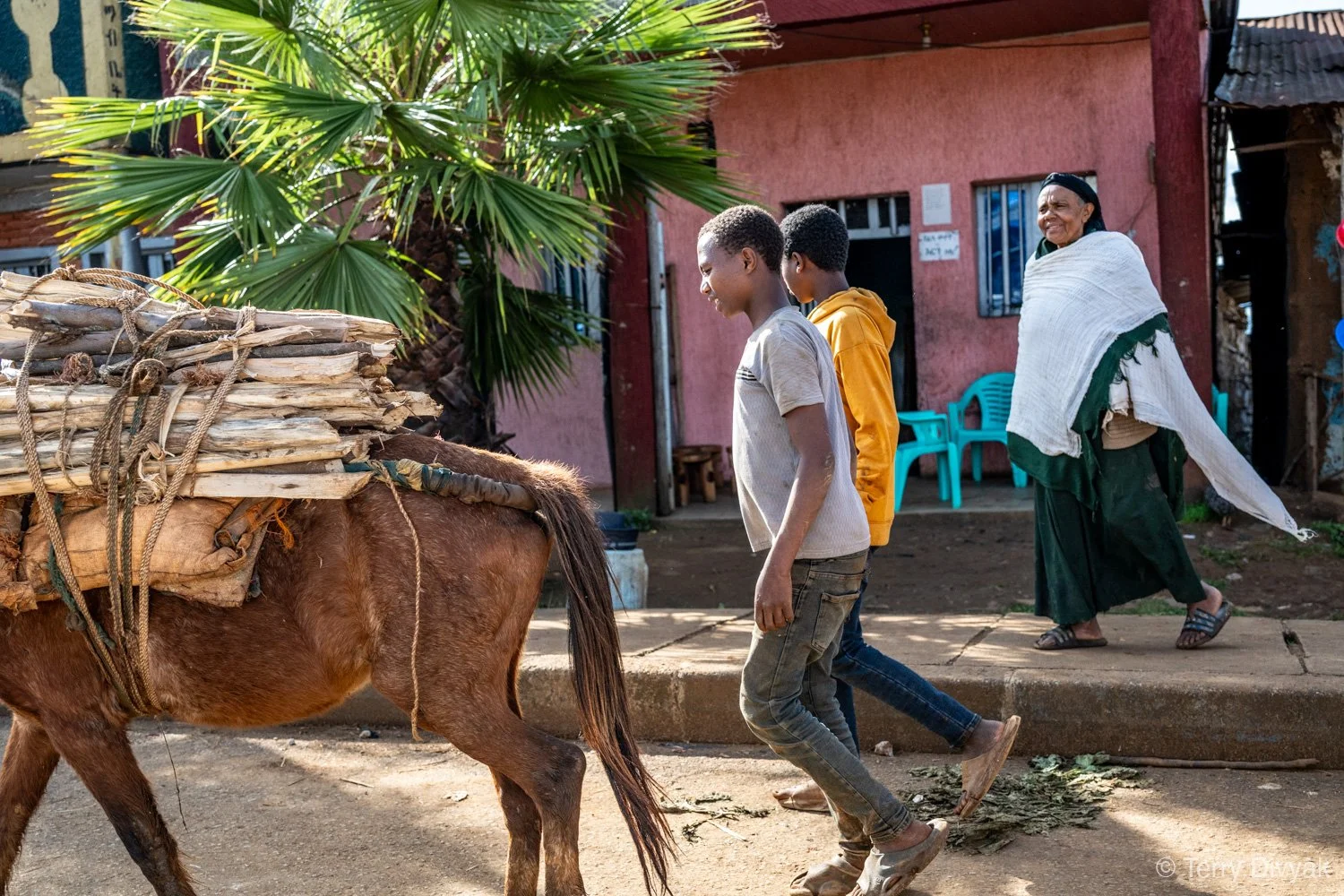 _PZ86190- Ethiopia_Terry_Divyak.jpg