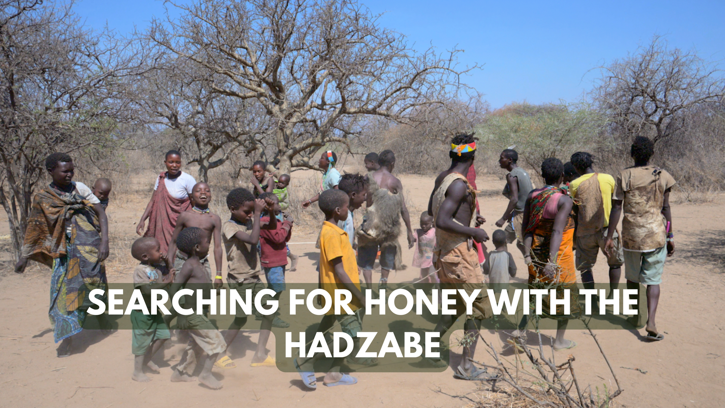 We Search for honey with Bushmen