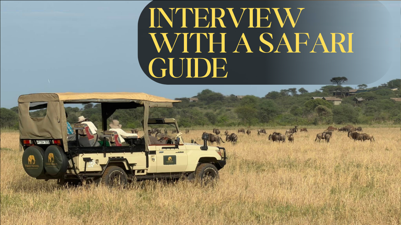 Safari Guide Secrets