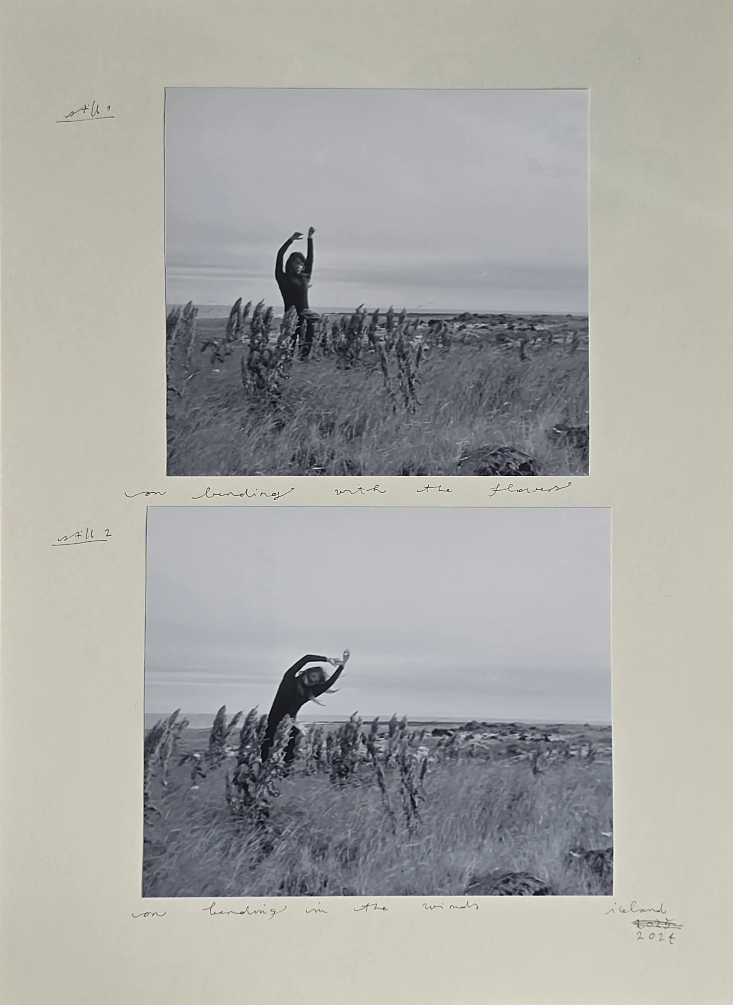 Bending With the Flowers; Photographic collage with printed photographs and handwritten notes on paper, ~30*40cm 