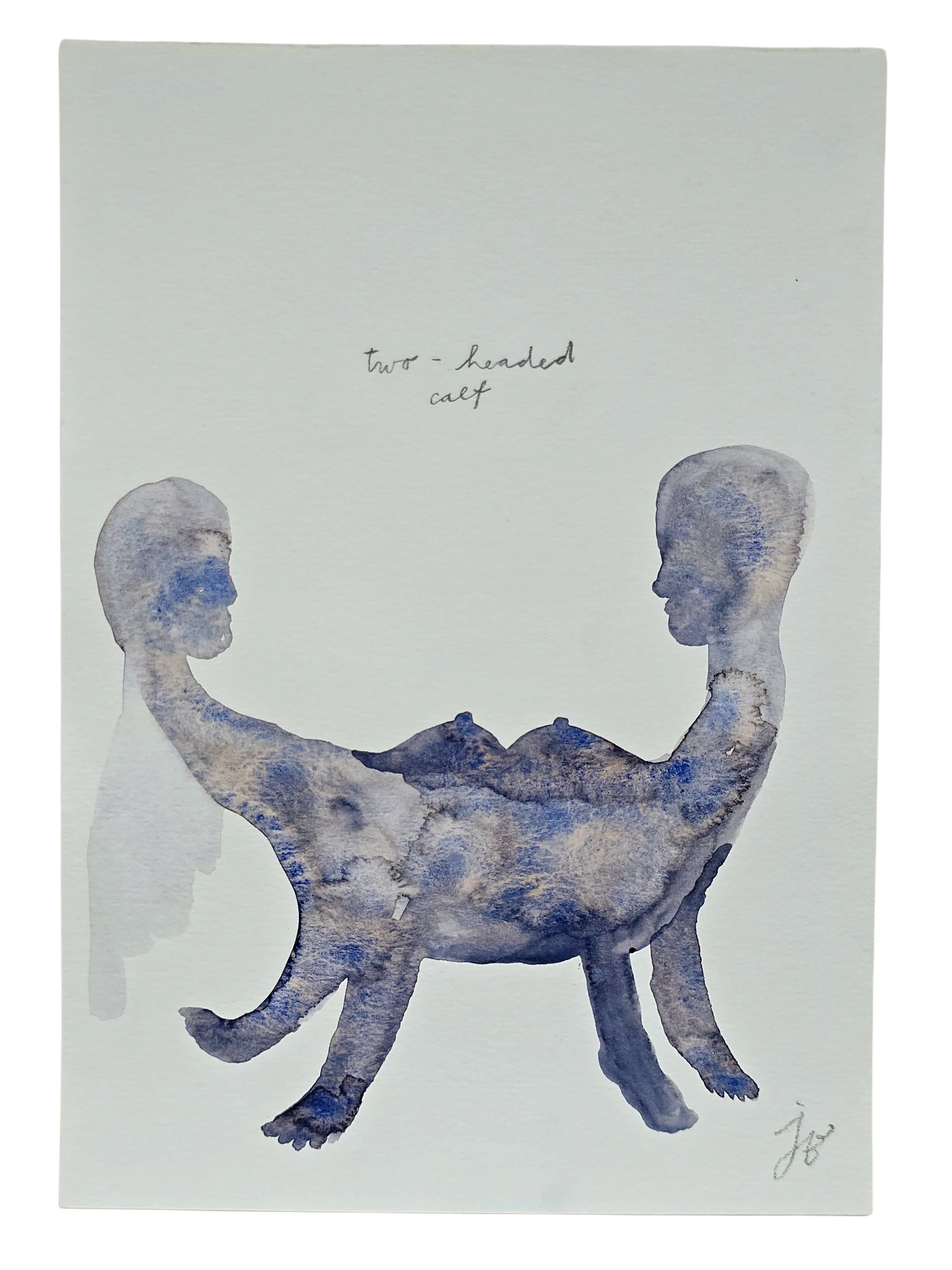 Two-Headed Calf, 15*20cm