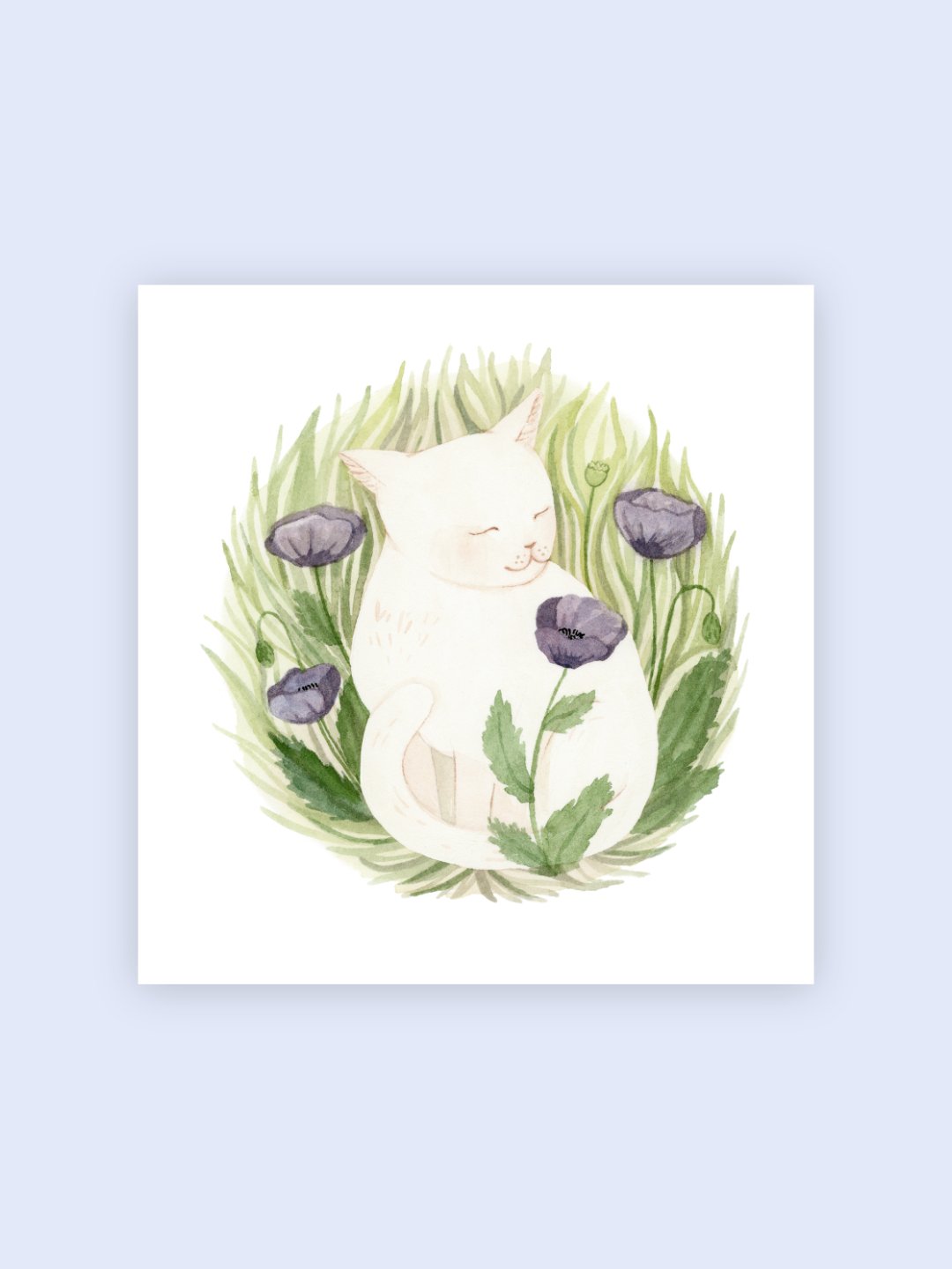 Chat des champs