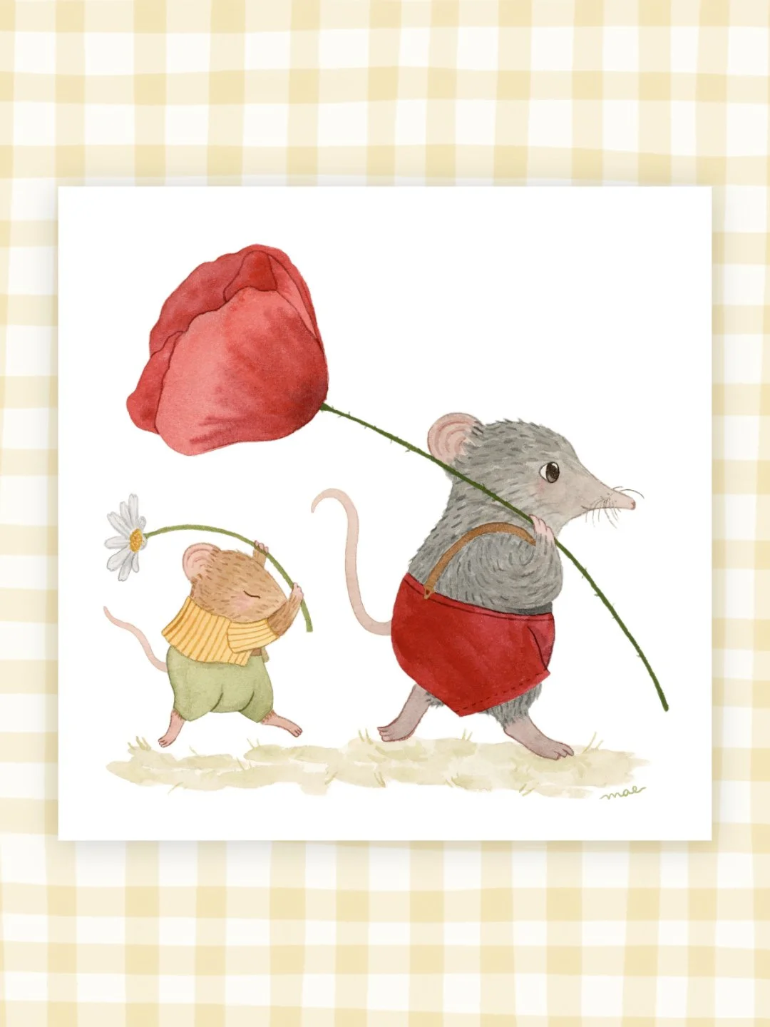 Le Coquelicot et la Pâquerette