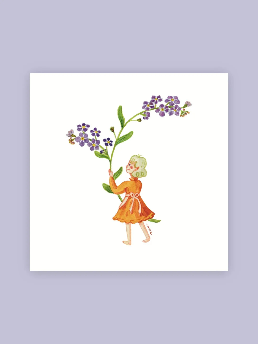 La Fée des Myosotis