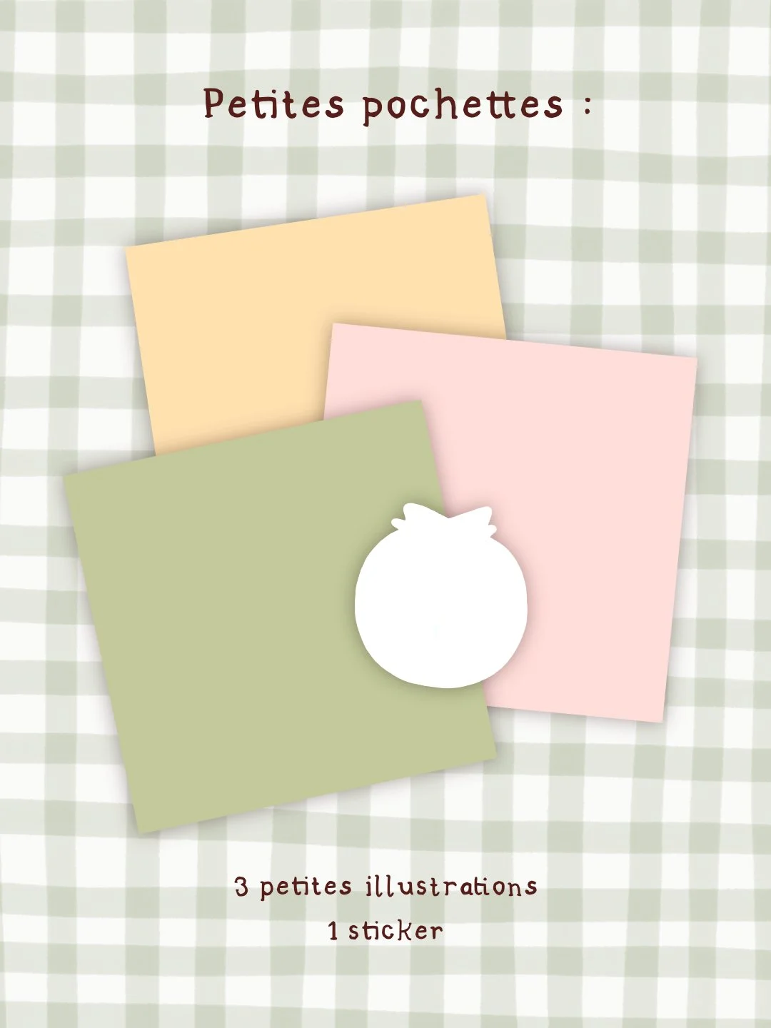 Pochette seconde chance S 3.jpg