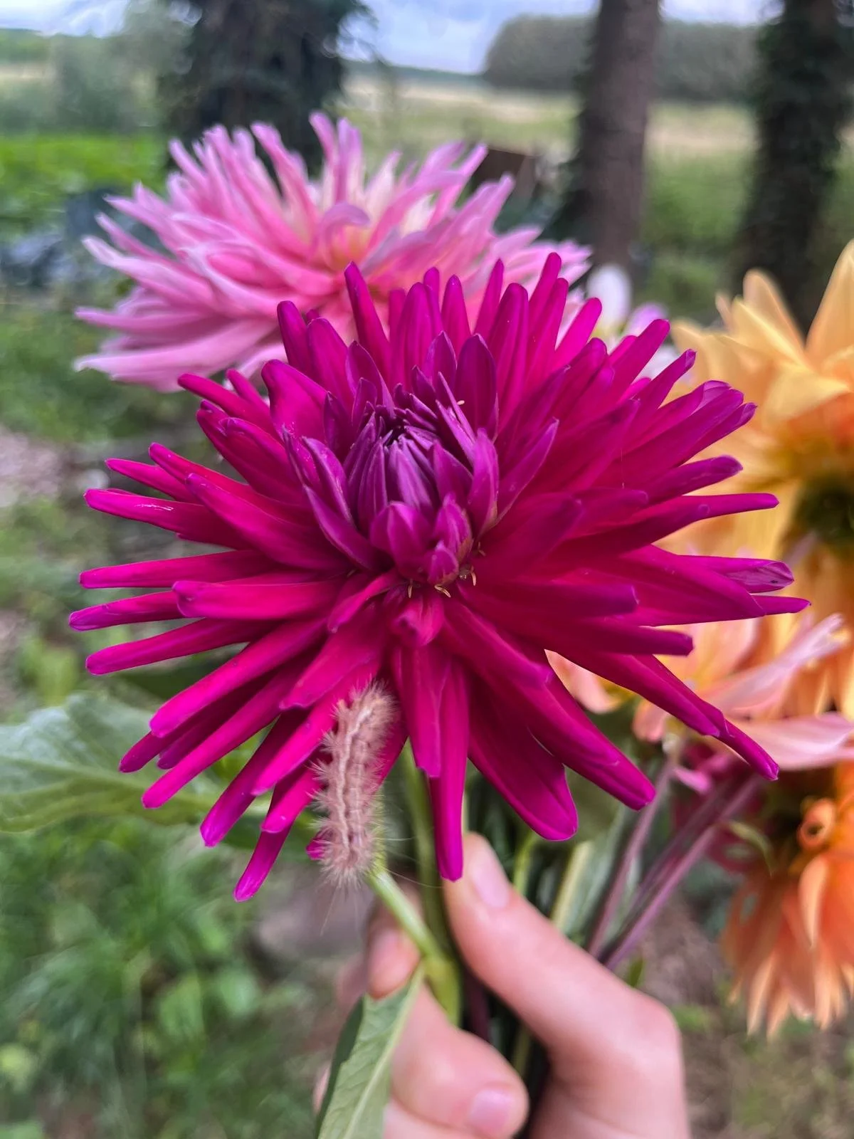 WhatsApp Image 2026-03-30 at 10.26.34.jpeg