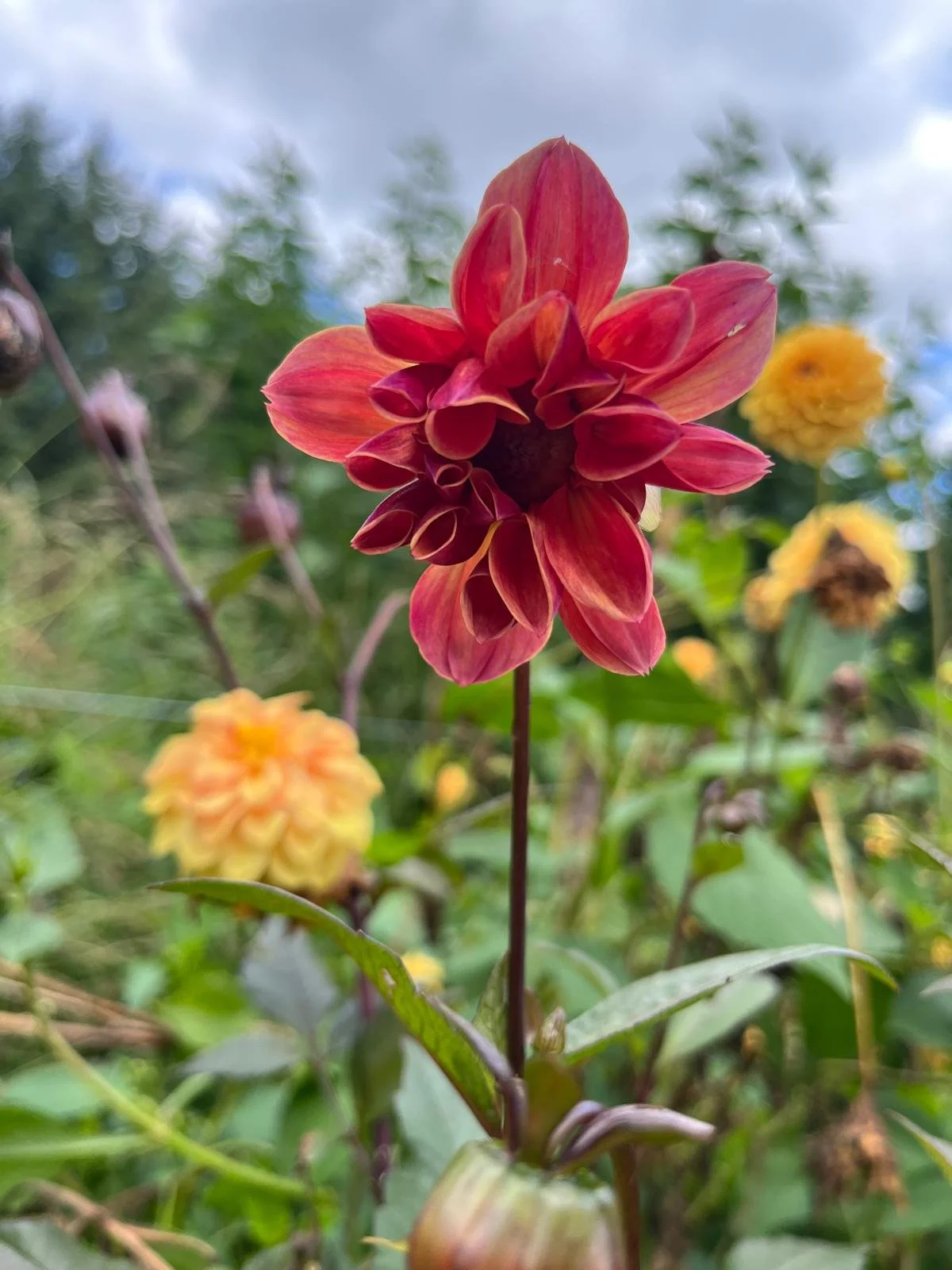 WhatsApp Image 2026-03-30 at 10.26.35e.jpeg