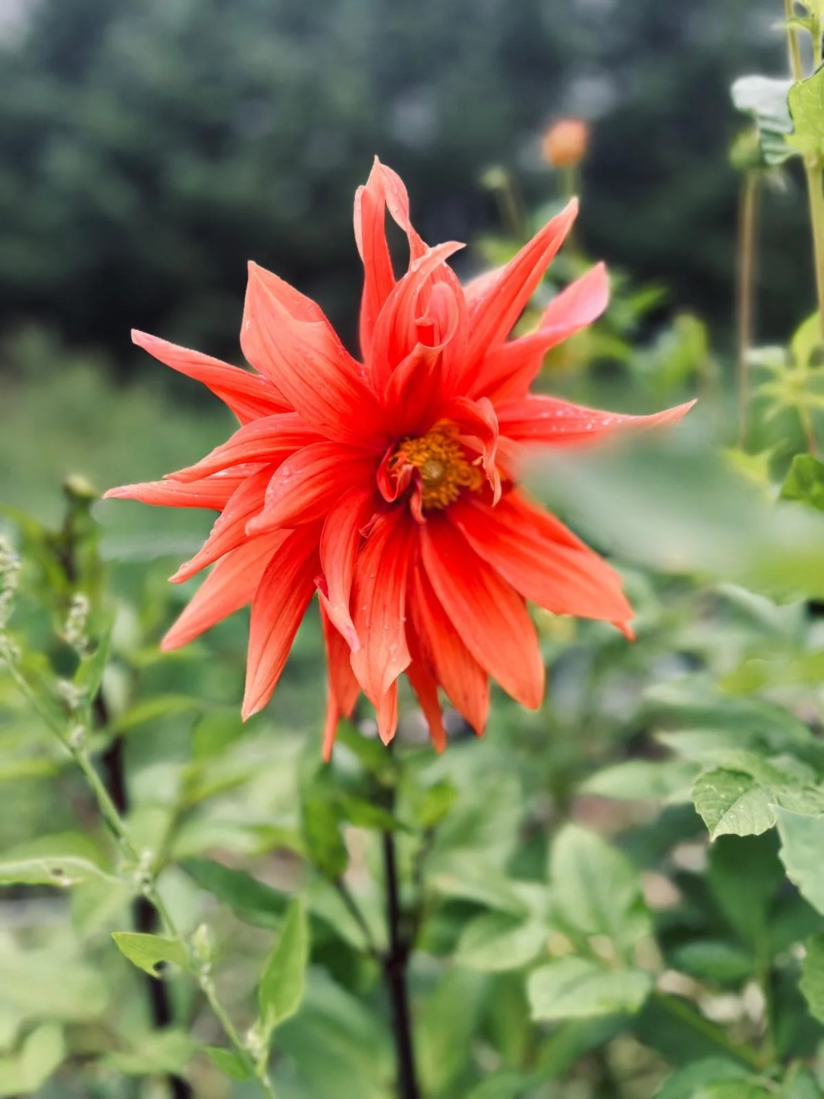 WhatsApp Image 2026-03-30 at 10.26.35dd.jpeg