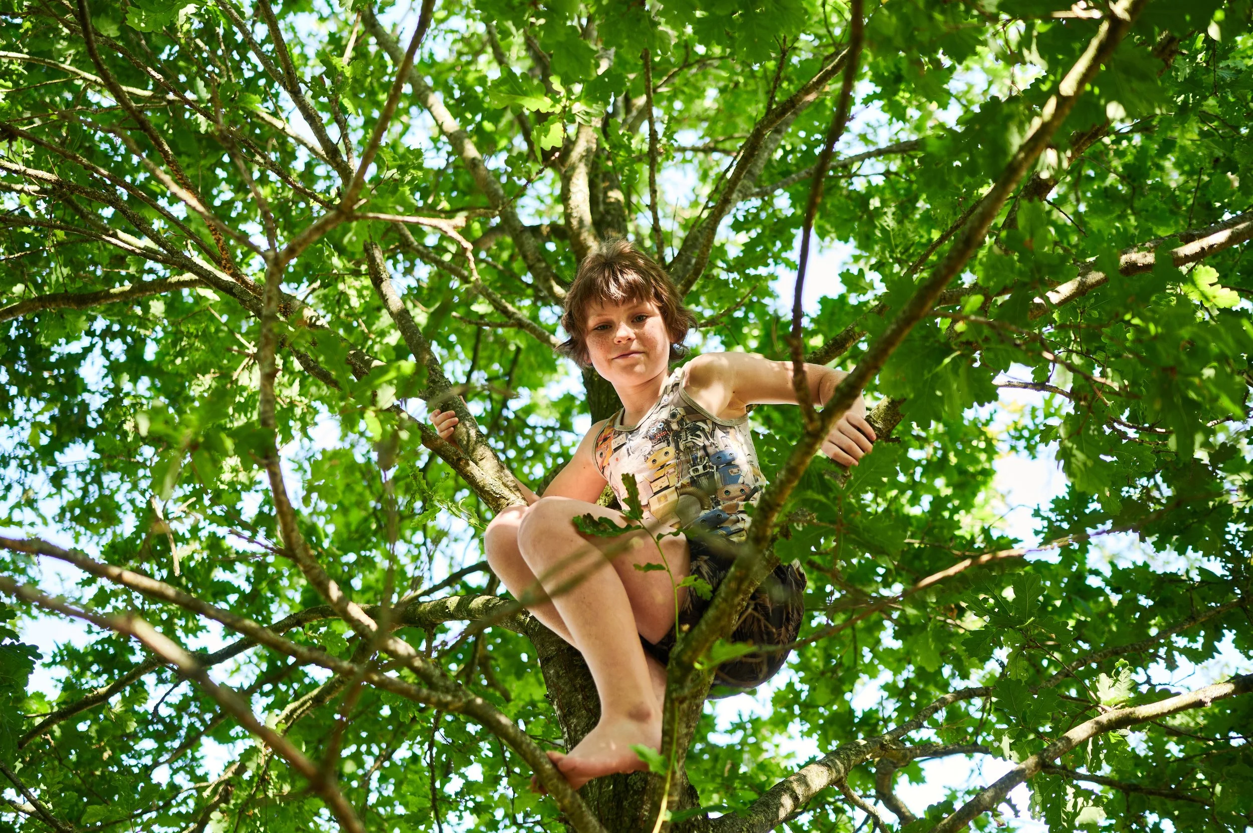 Klimmen @noorderloo.jpg