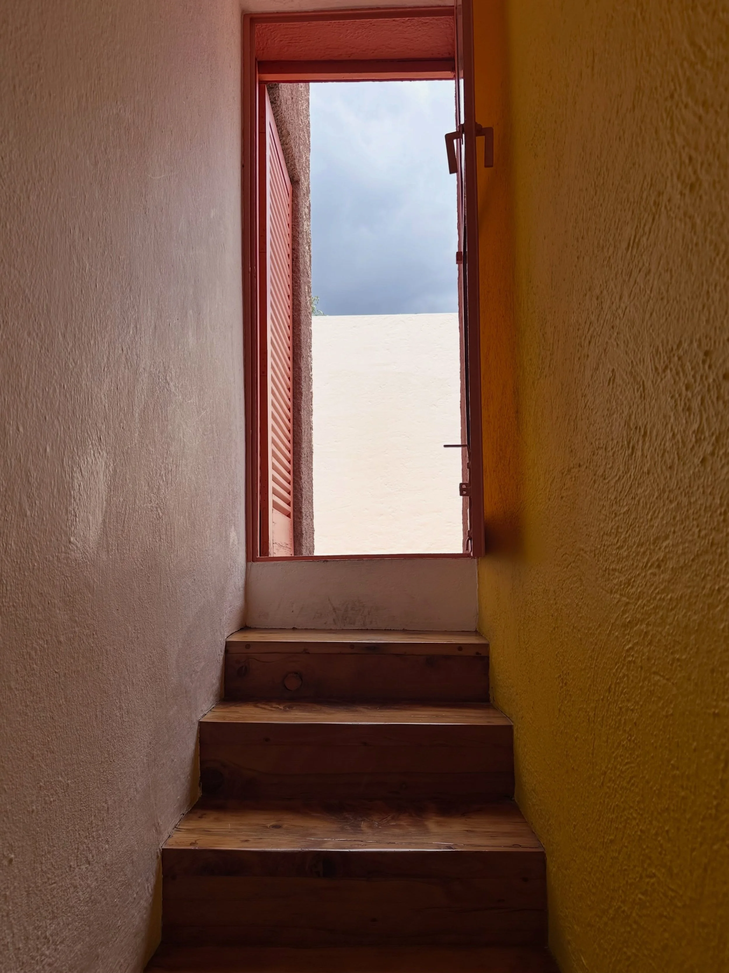 CASA LUIS BARRAGAN dat is kleur gecombineerd met warm hout, veel groen, een mooi hoogpolig tapijt, veel daglicht, open ruimtes&hellip; 

What&rsquo;s not to like about Casa Luis Barragan in Mexico City? Ik ben fan! 

Welke Barragan-kleur zou jij in j