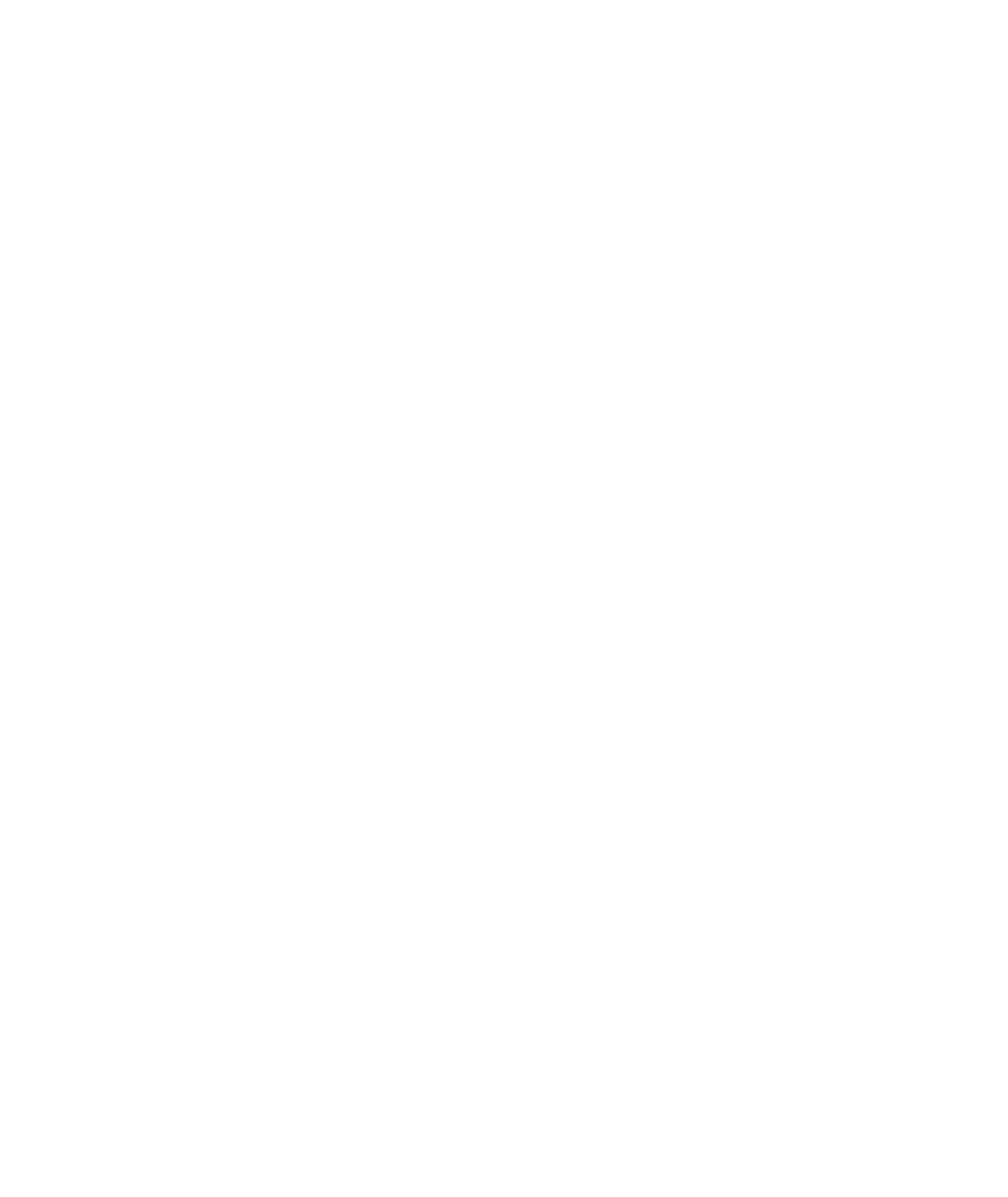 Francisco Martins