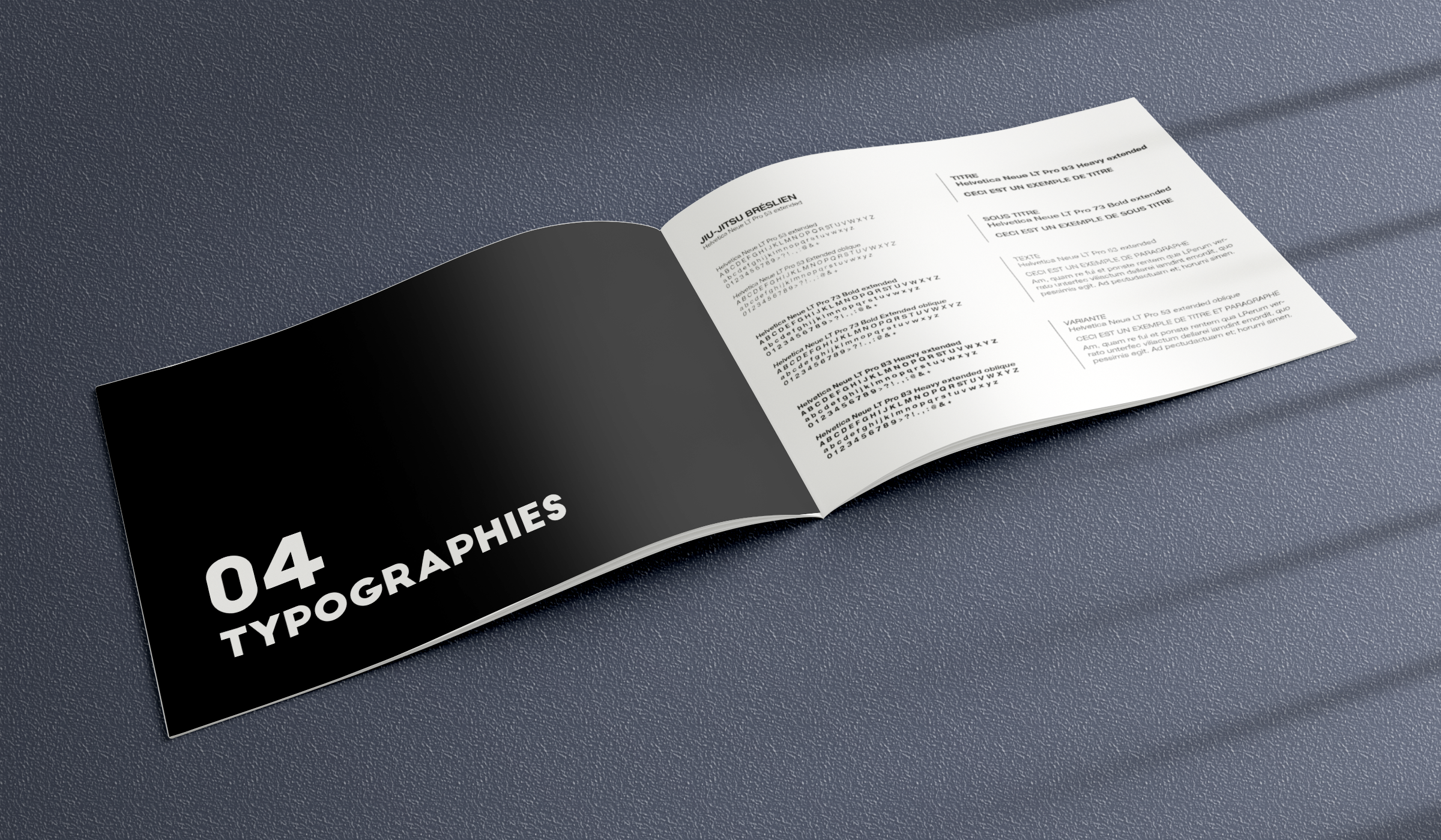 Charte graphique du club de Jiu Jitsu Brésilien Overall.