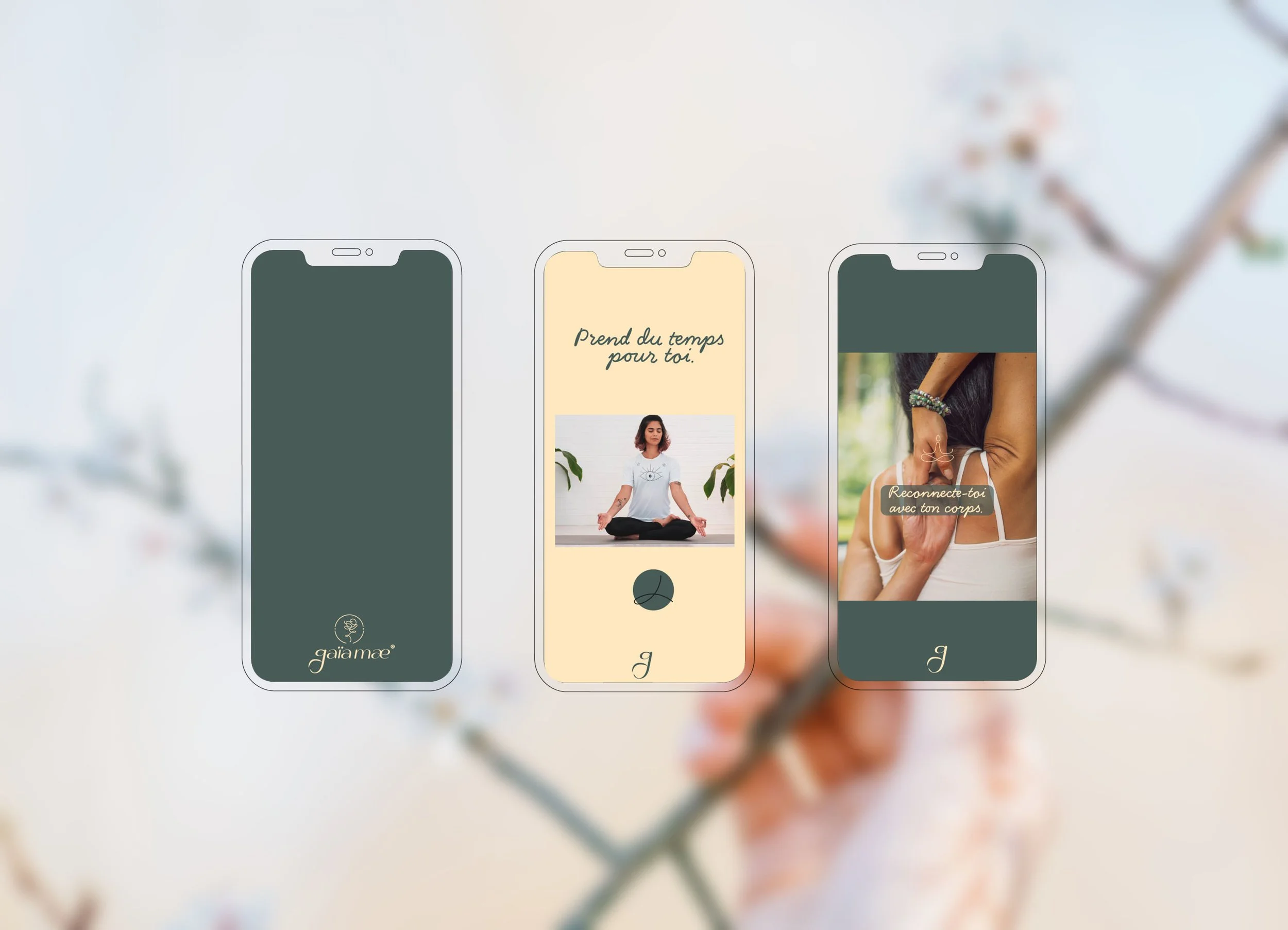 template stories.jpg