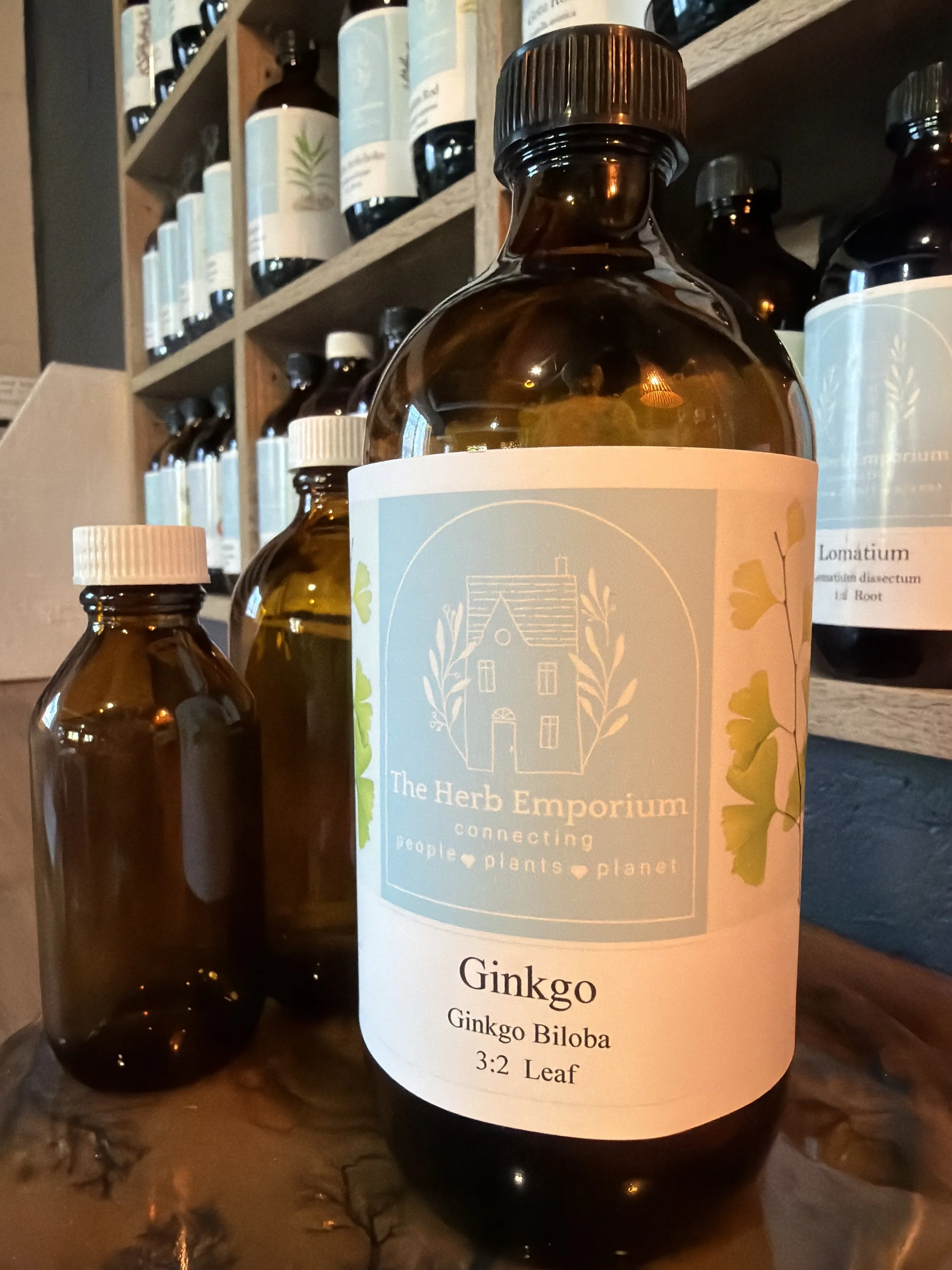 Ginkgo