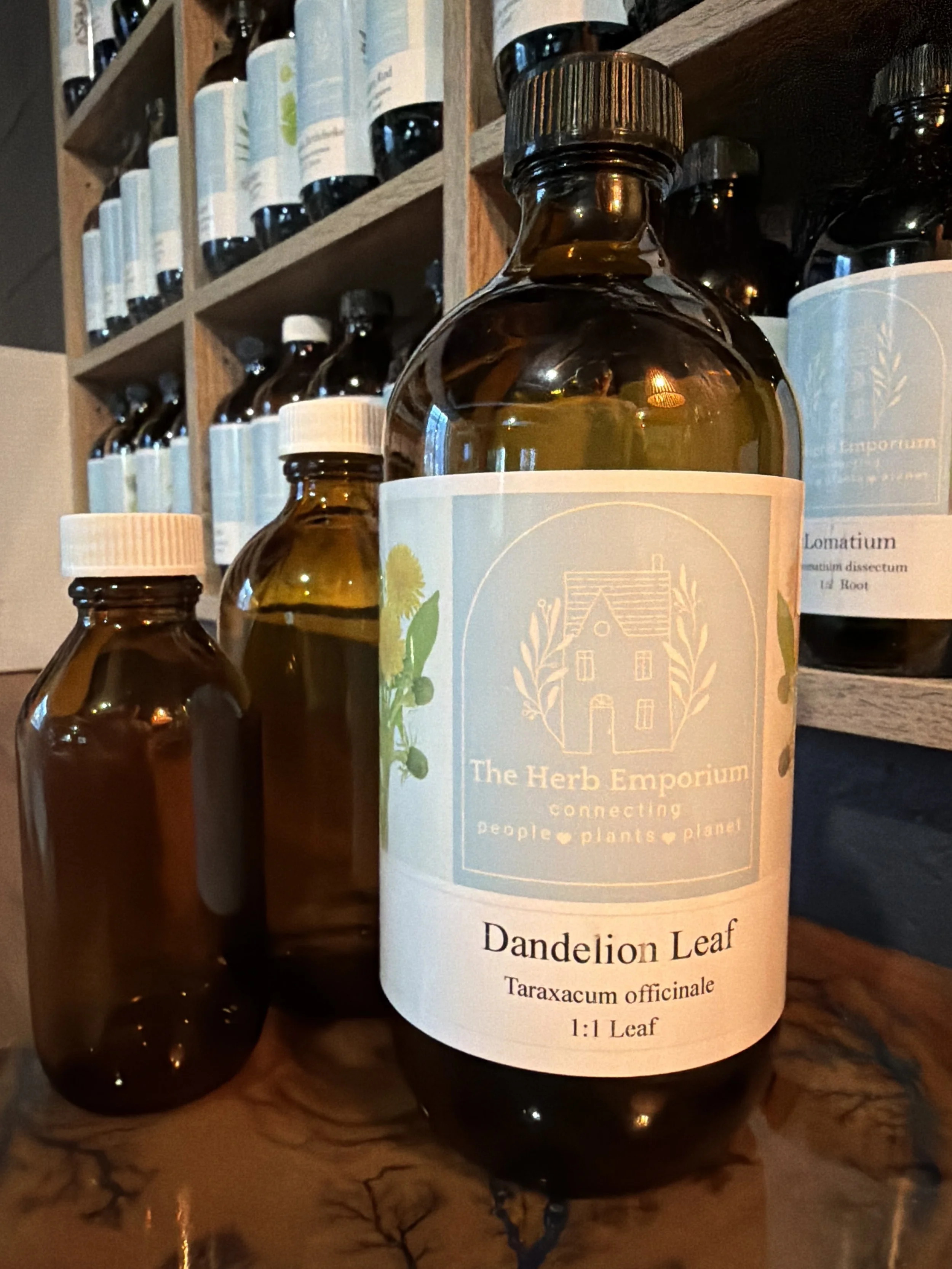 Dandelion Root & Leaf