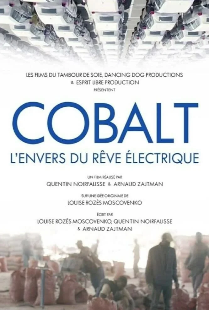cobalt-lenvers-du-reve-electrique.jpg