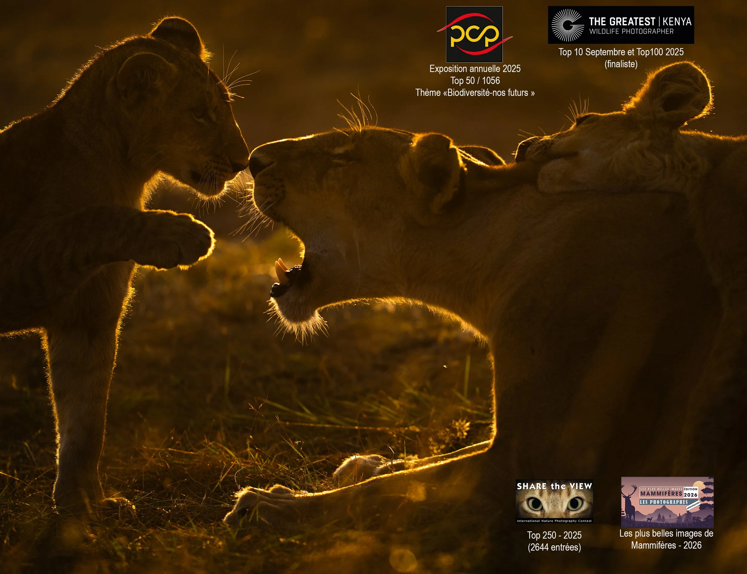 2025-03-06_Playtime copie.jpg