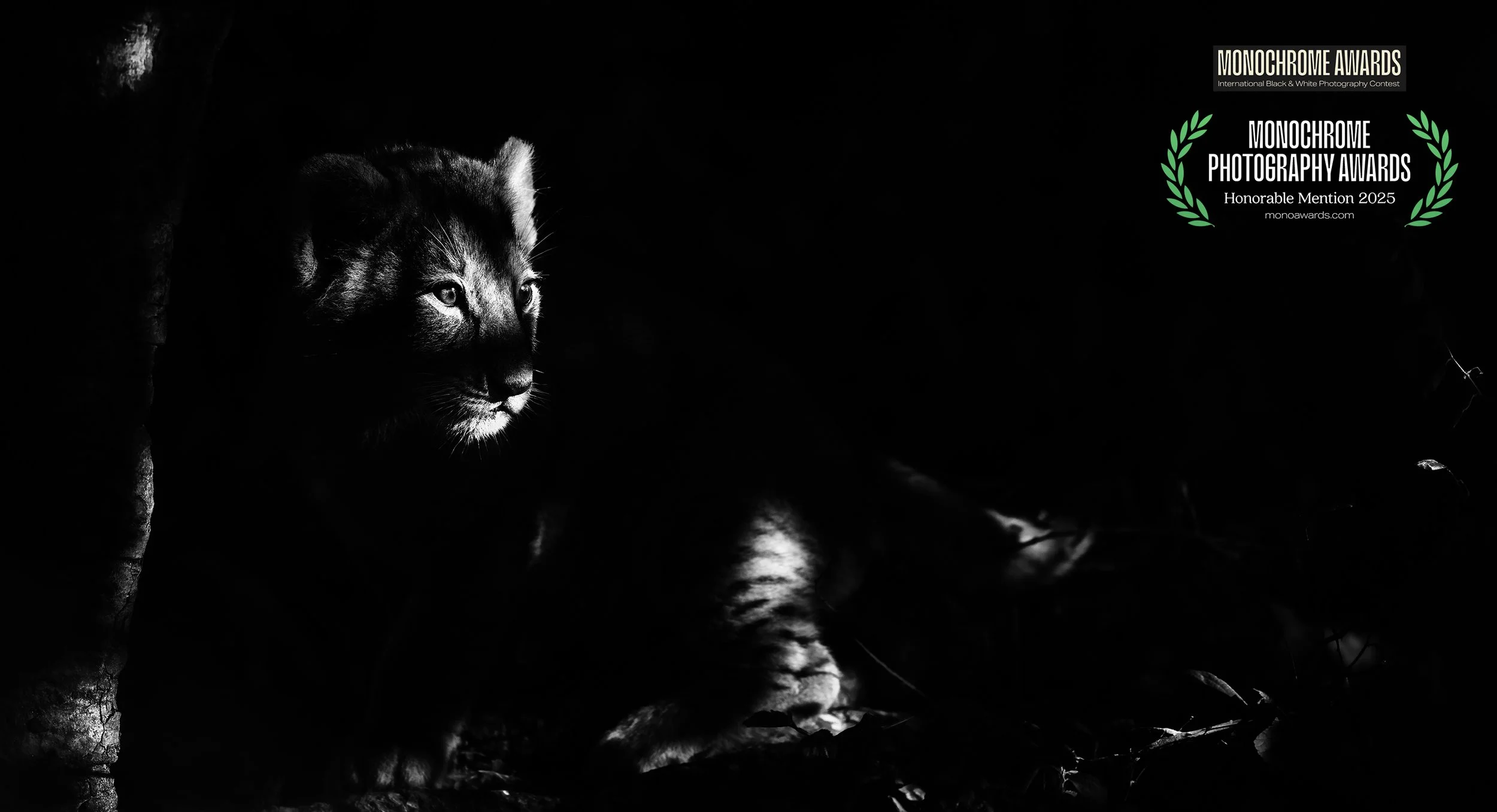 DSC08132-Modifier B&W copie.jpg