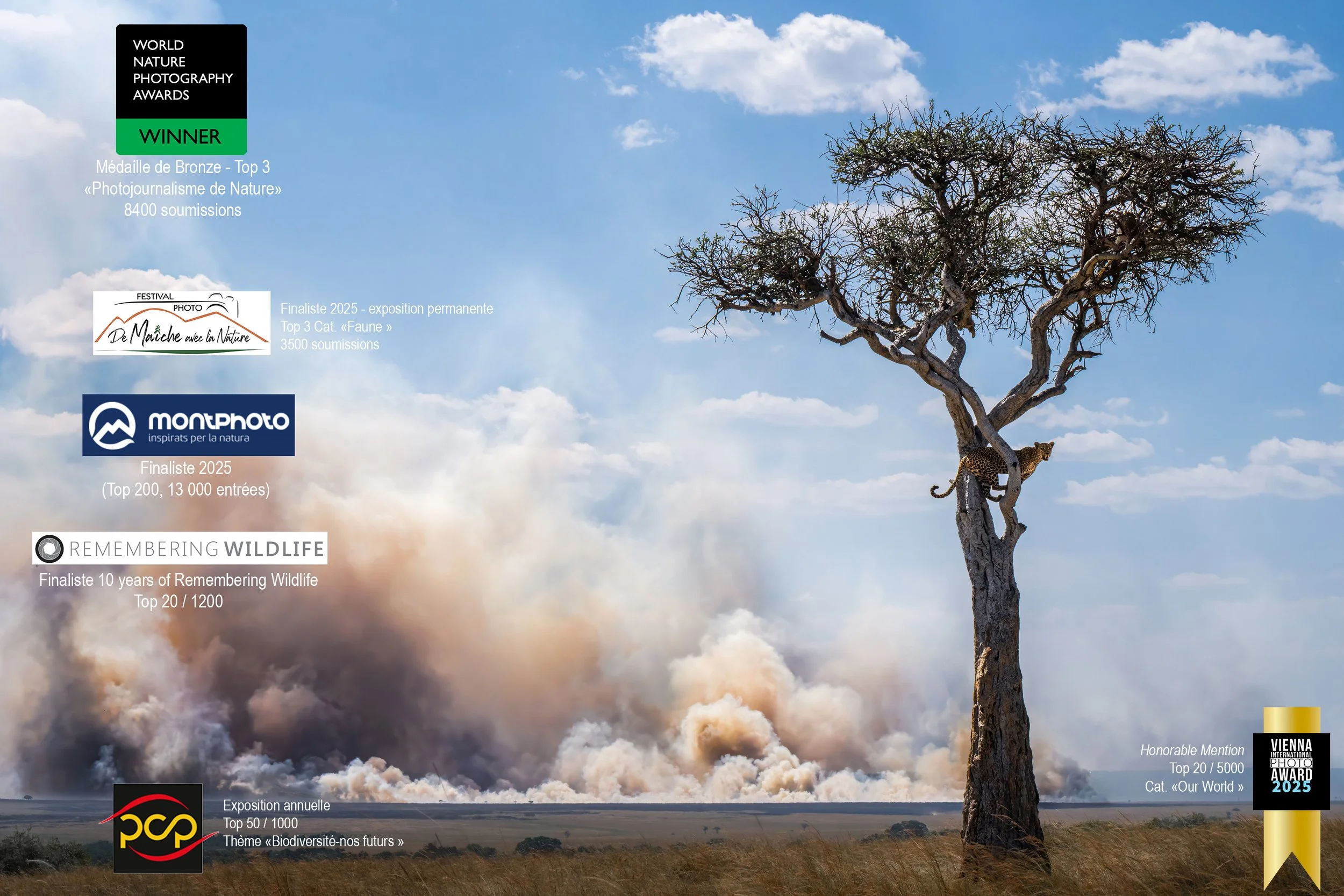 DSC01915-Modifier-2-Modifier-2-Modifier-2 copie.jpg