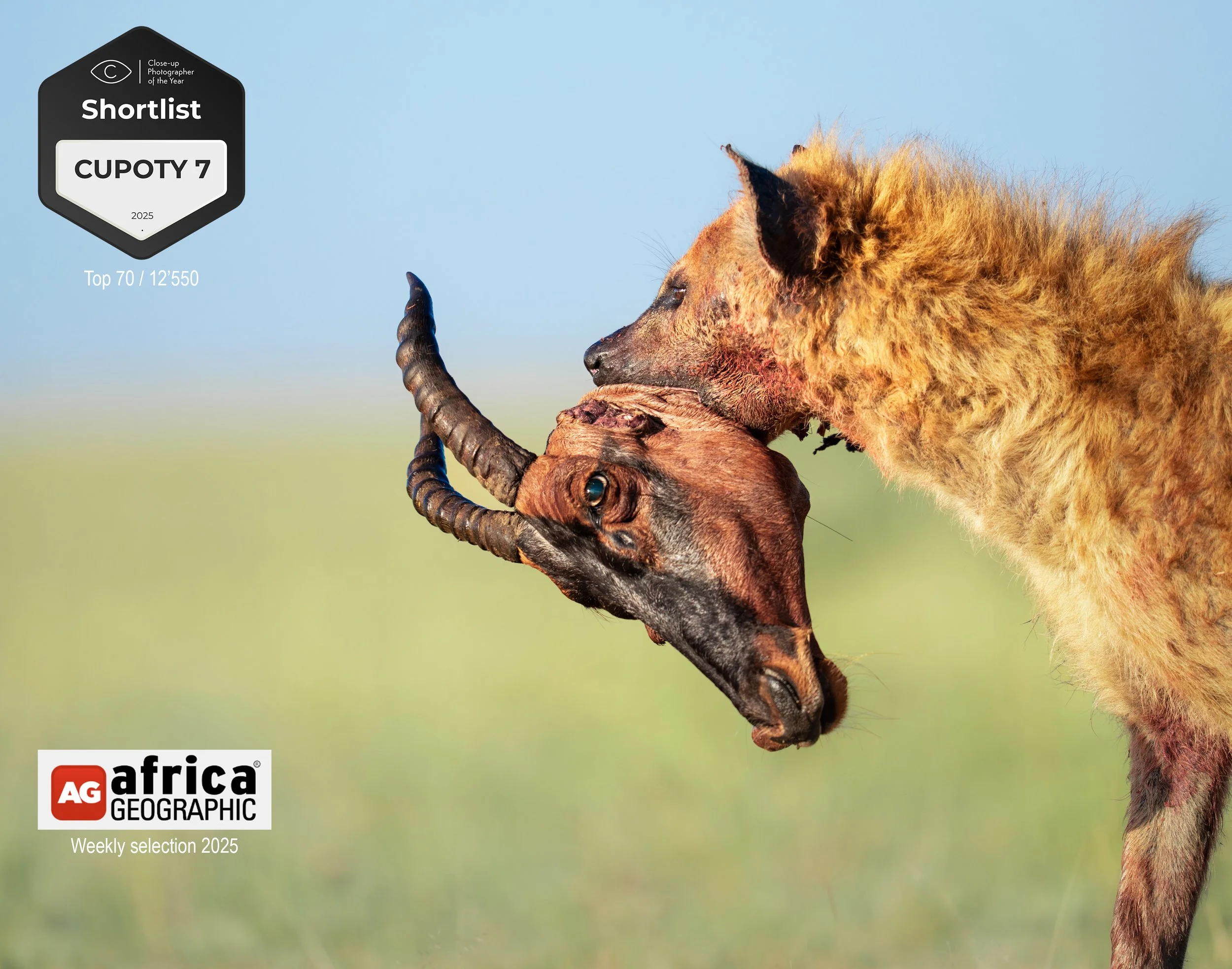 DSC00777-Modifier-2-2 copie.jpg