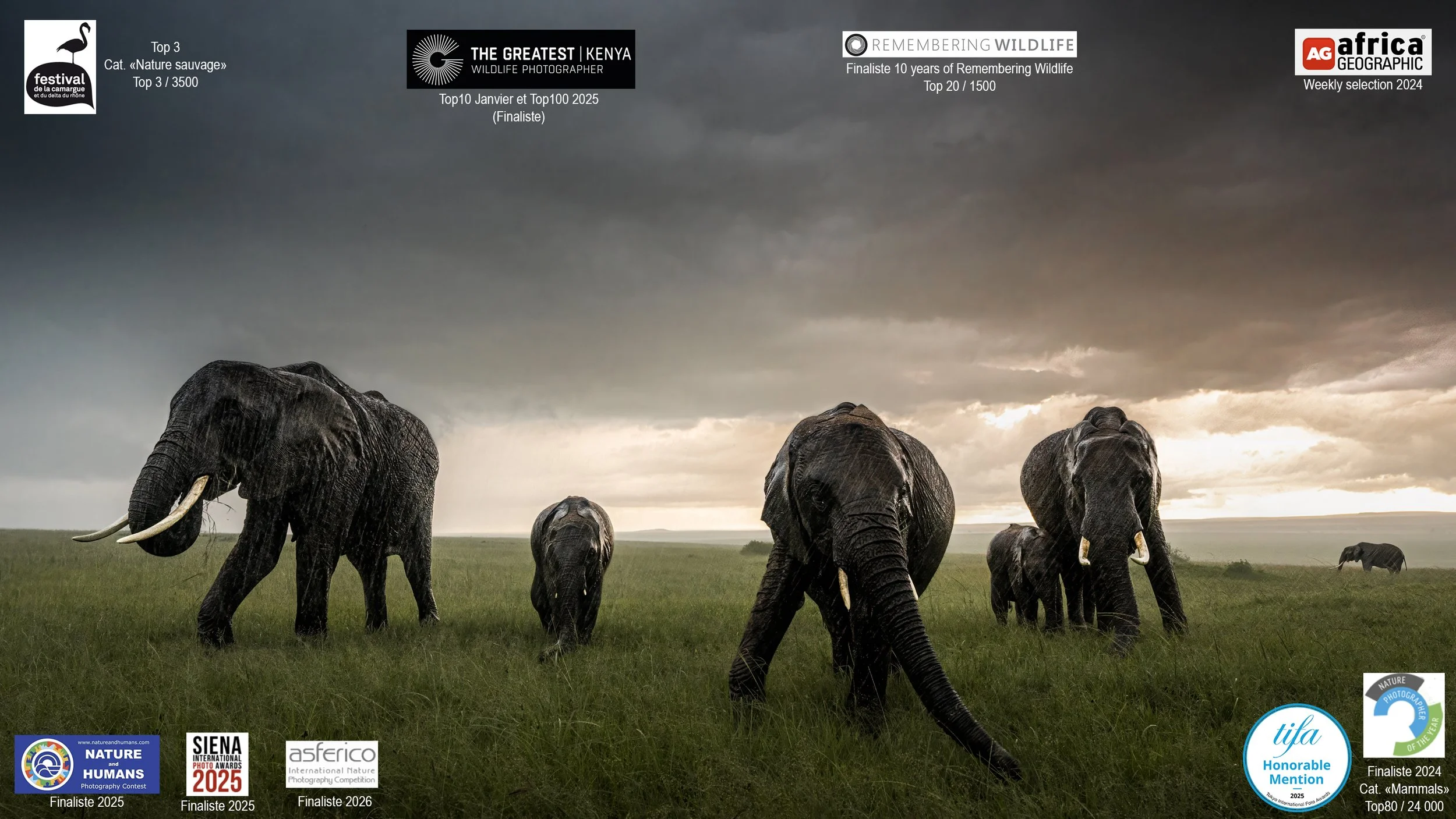 DSC01796-Modifier-2-Modifier-Modifier-2 copie.jpg