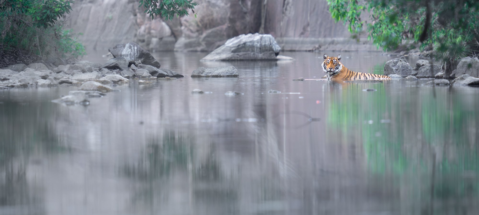 DSC08517-Modifier.jpg