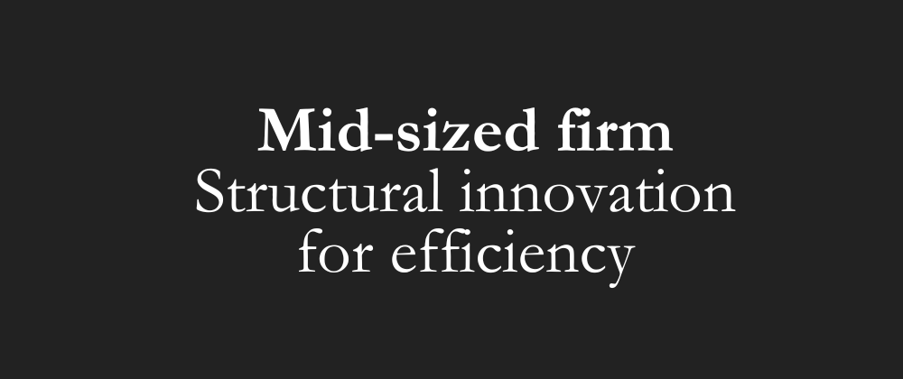 Mid sized firm structural innovation for efficiency.png