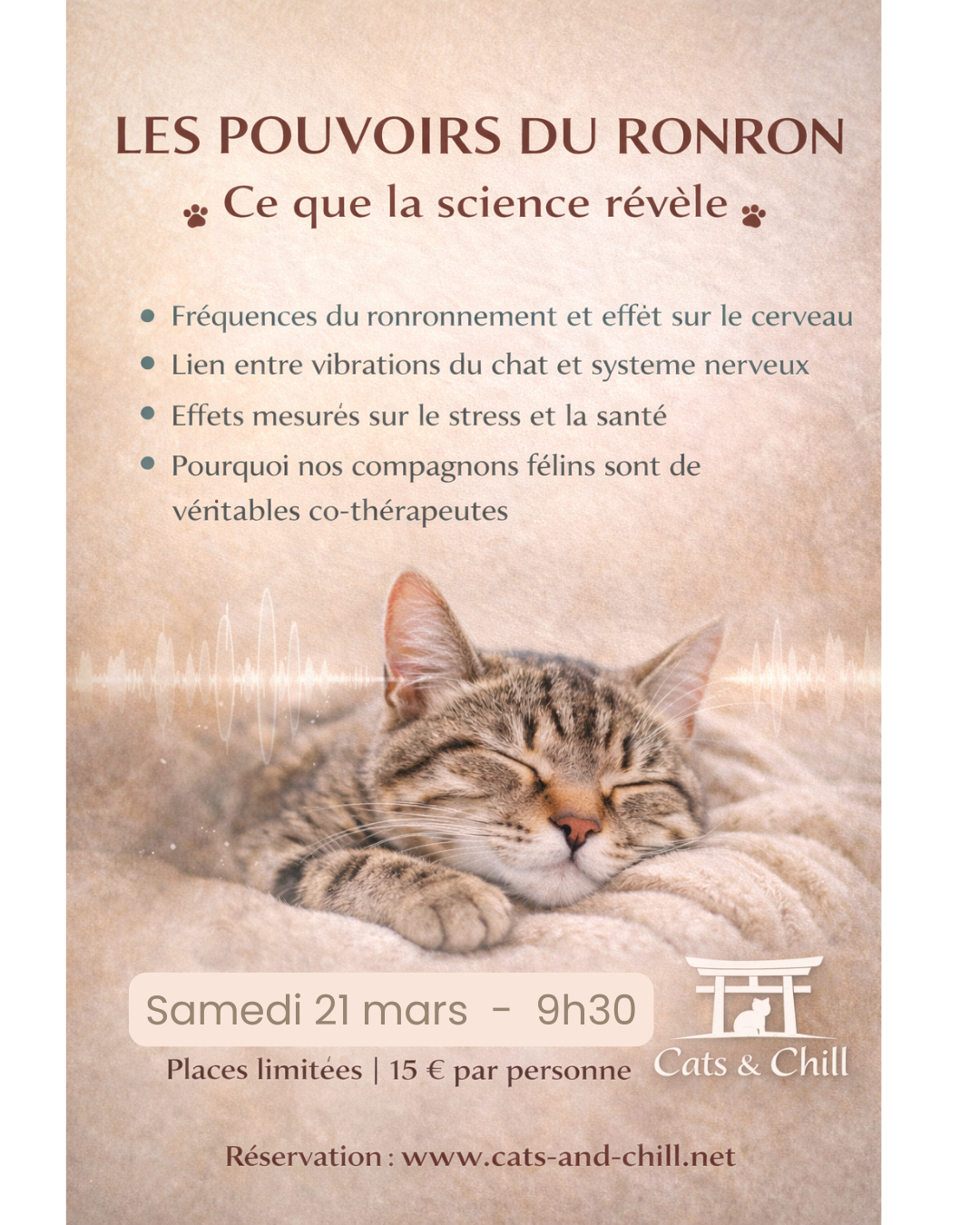 Les pouvoirs du Ronron ... Ce que la Science révèle