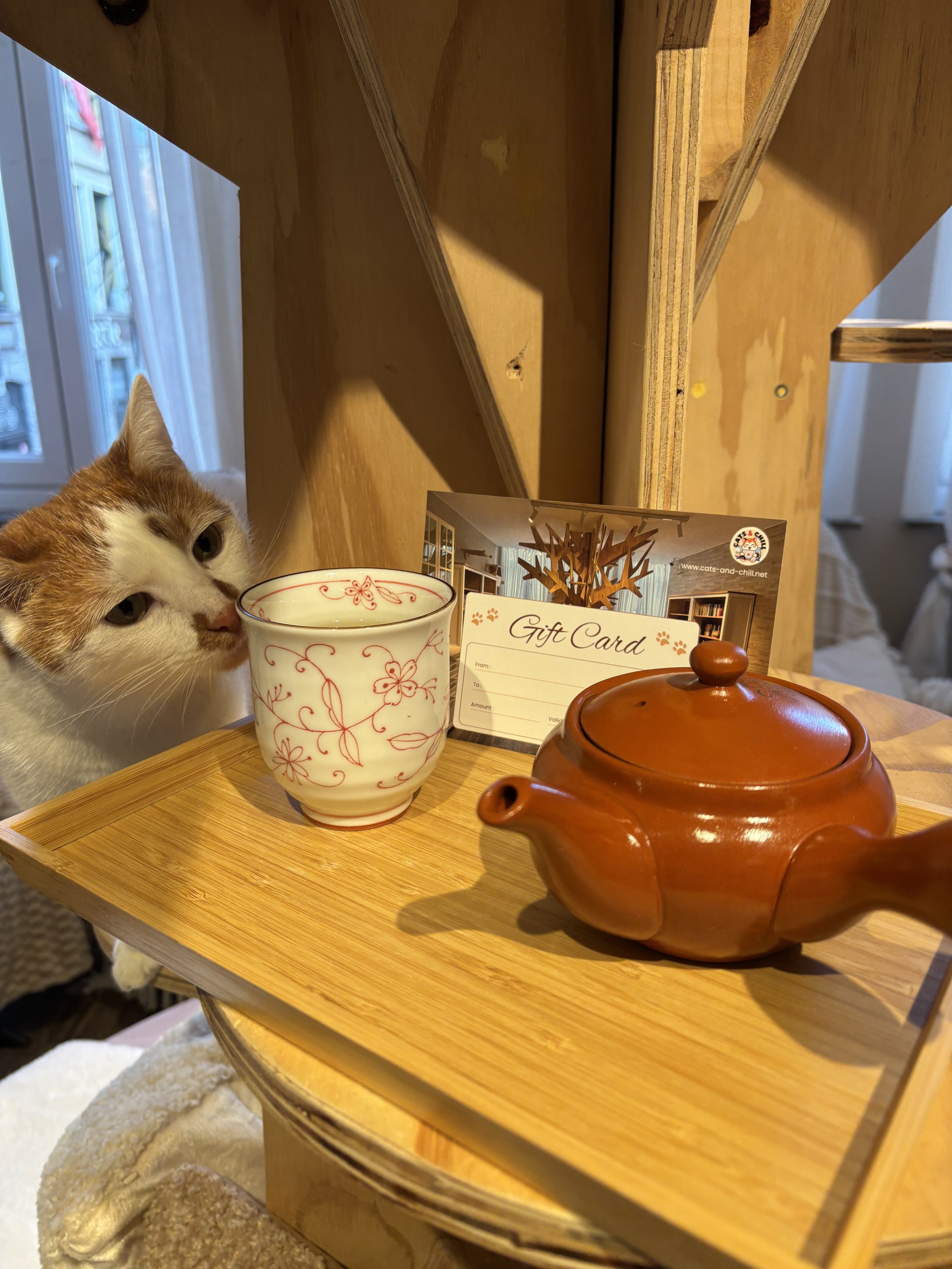 Carte Cadeau 🐾 Formule SOLO “Pause Ronron” – 1h pour respirer (et ronronner)