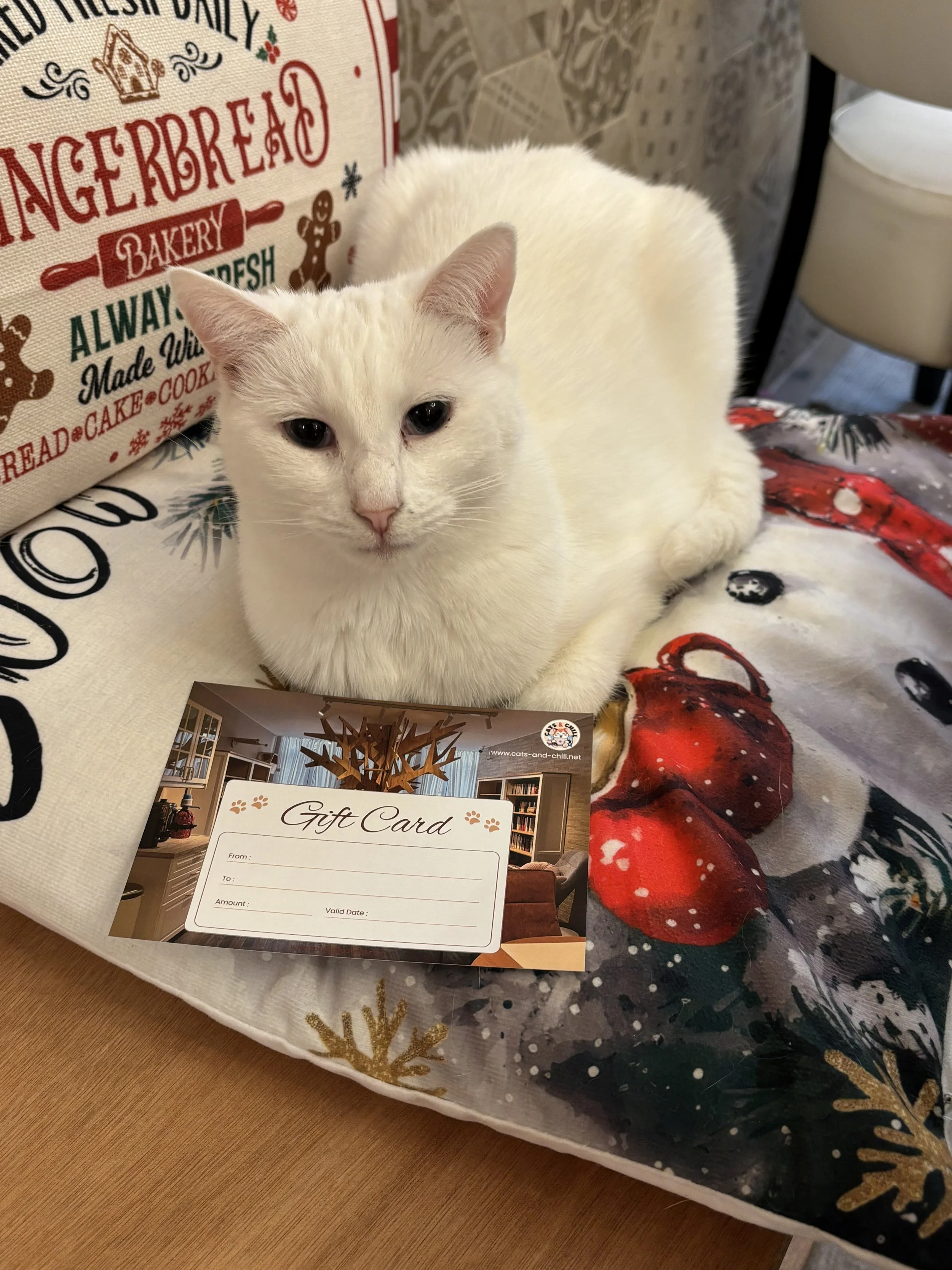 carte cadeau.jpg