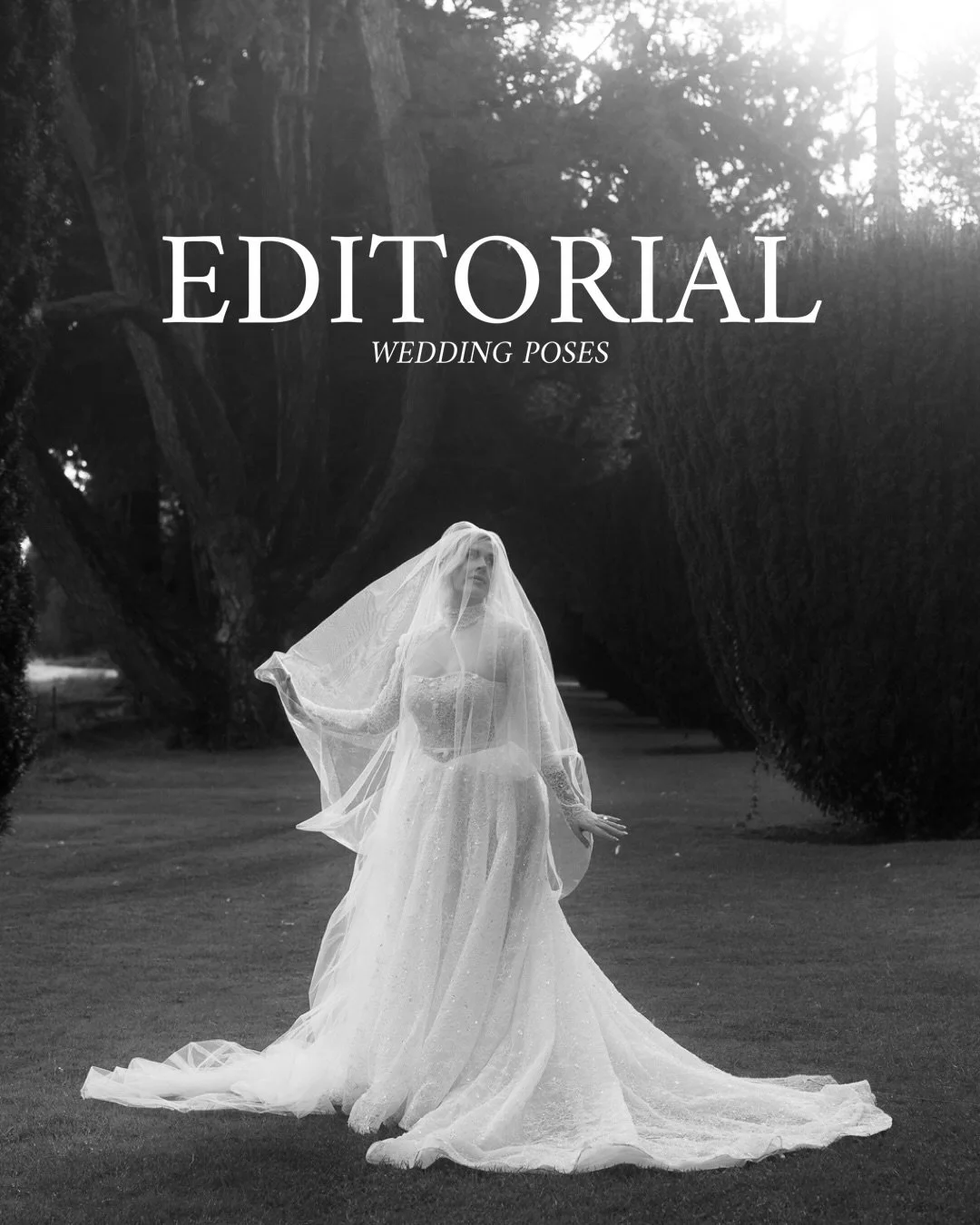 Editorial wedding poses to elevate your wedding photos 🤍 here are 18 of my go-to guided poses that are so natural, romantic and will look so beautiful when you print and frame your portraits for your home. Couples and photographers alike, feel free 