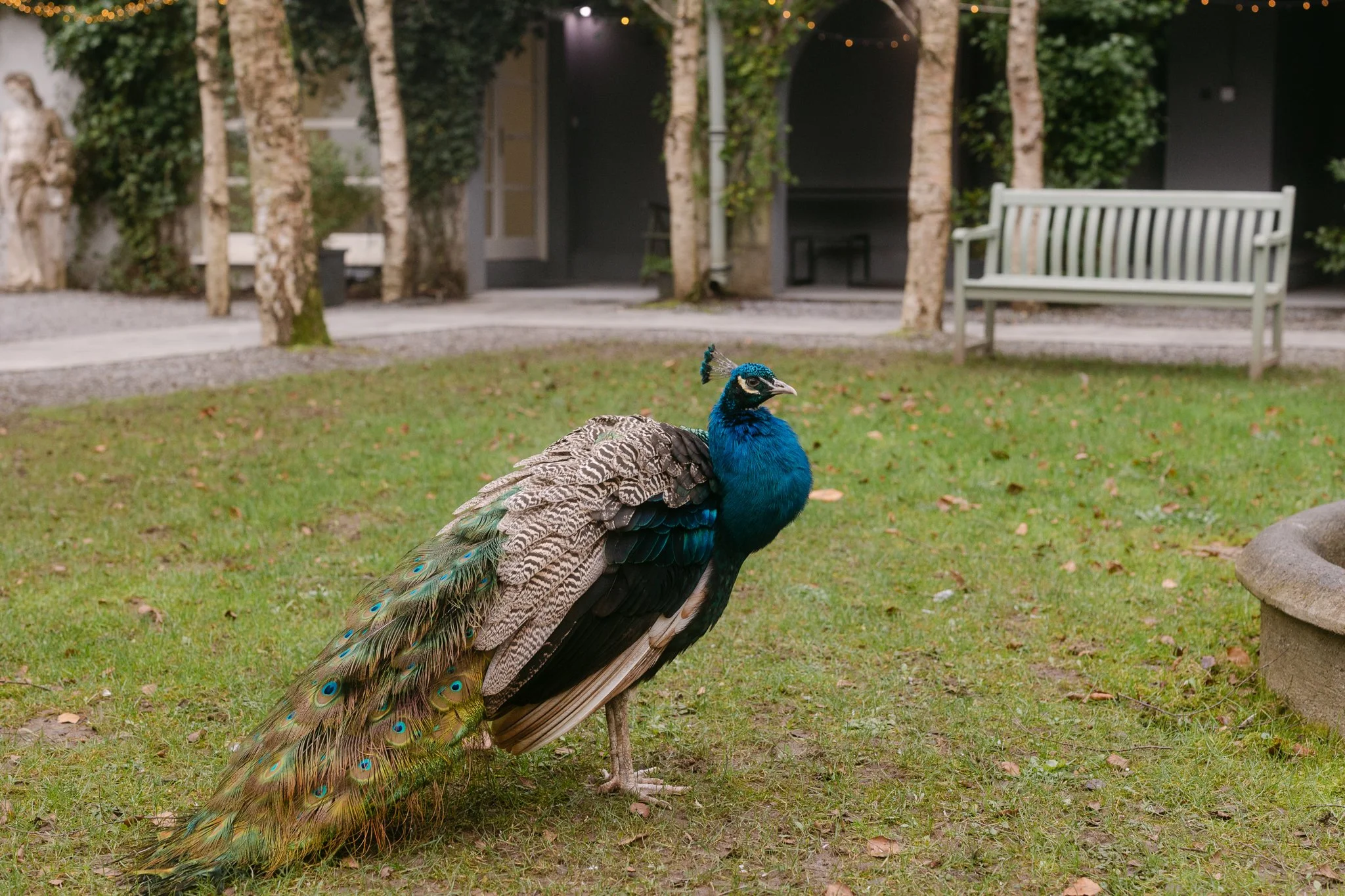 Anouska Love Story Editorial wedding photography -75.jpg