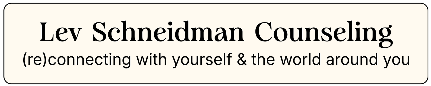 Lev Schneidman Counseling
