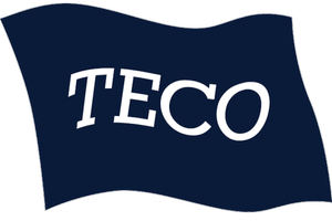 Full_TECO.png