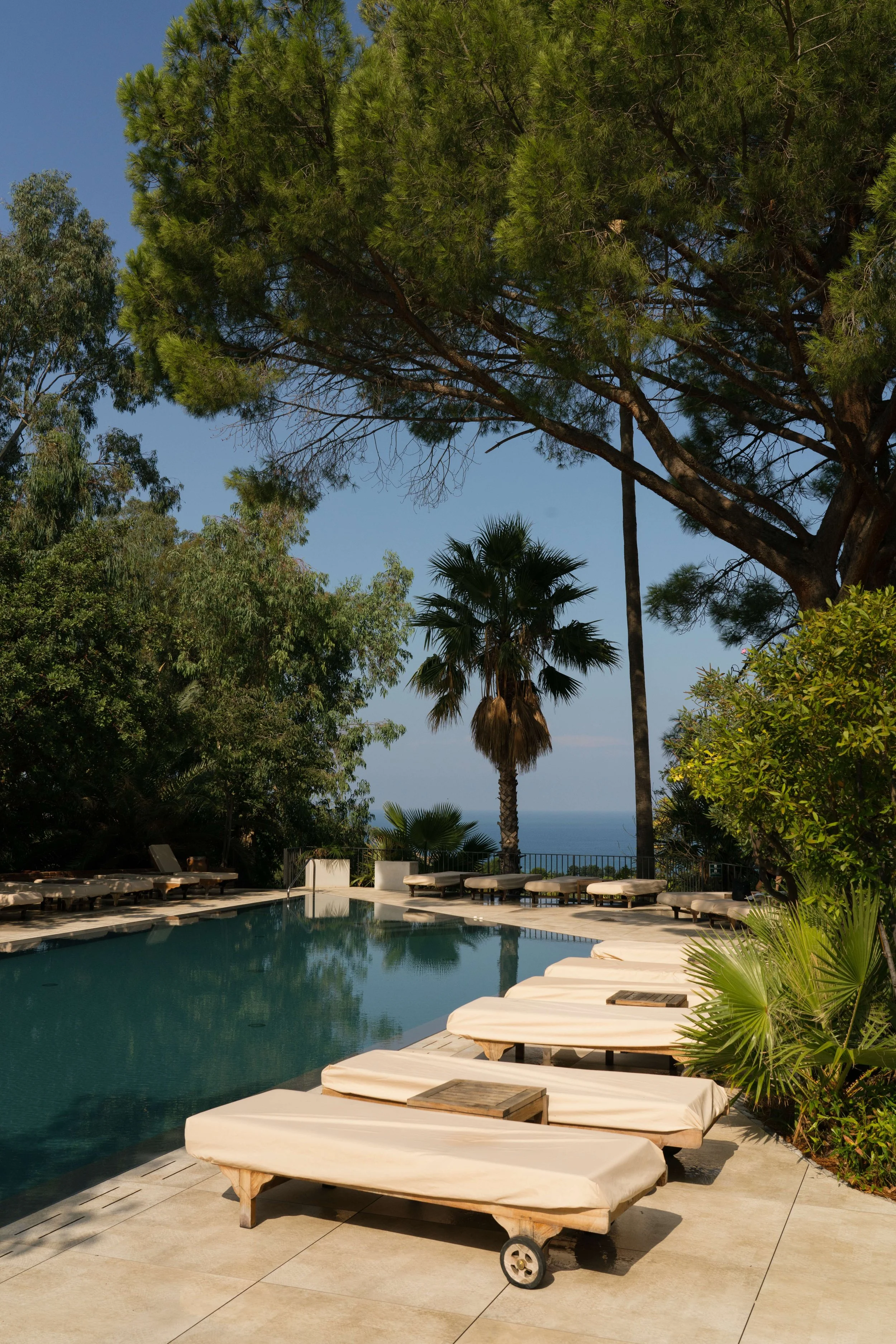 Alberi del Paradiso, Sicily