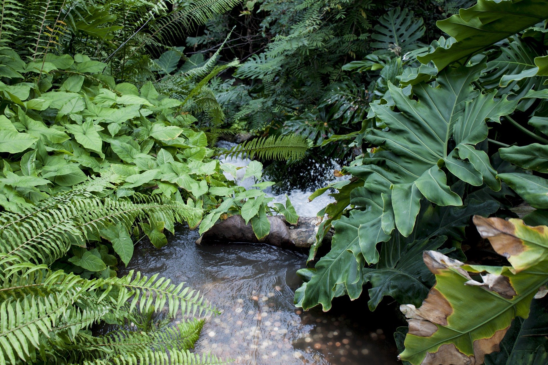 Spiritual Self-Care for Changemakers