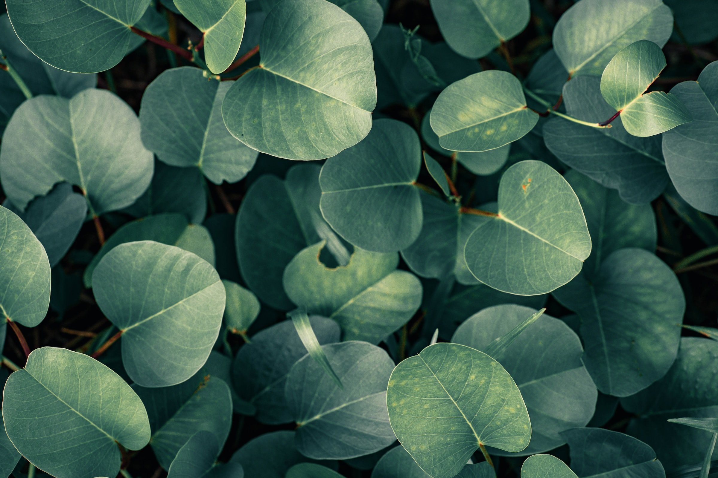 How the 7 D’s are Disrupting Leadership-As-Usual