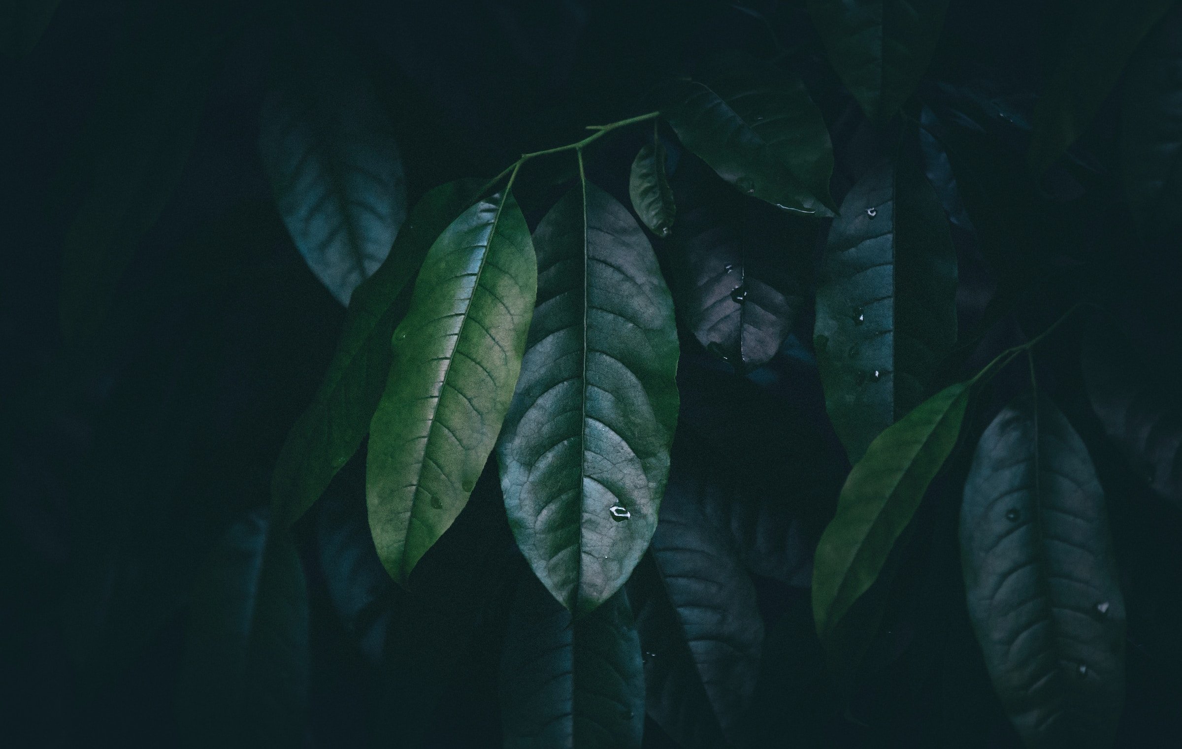How to Sleep: A Leader's Guide to Daily R&R