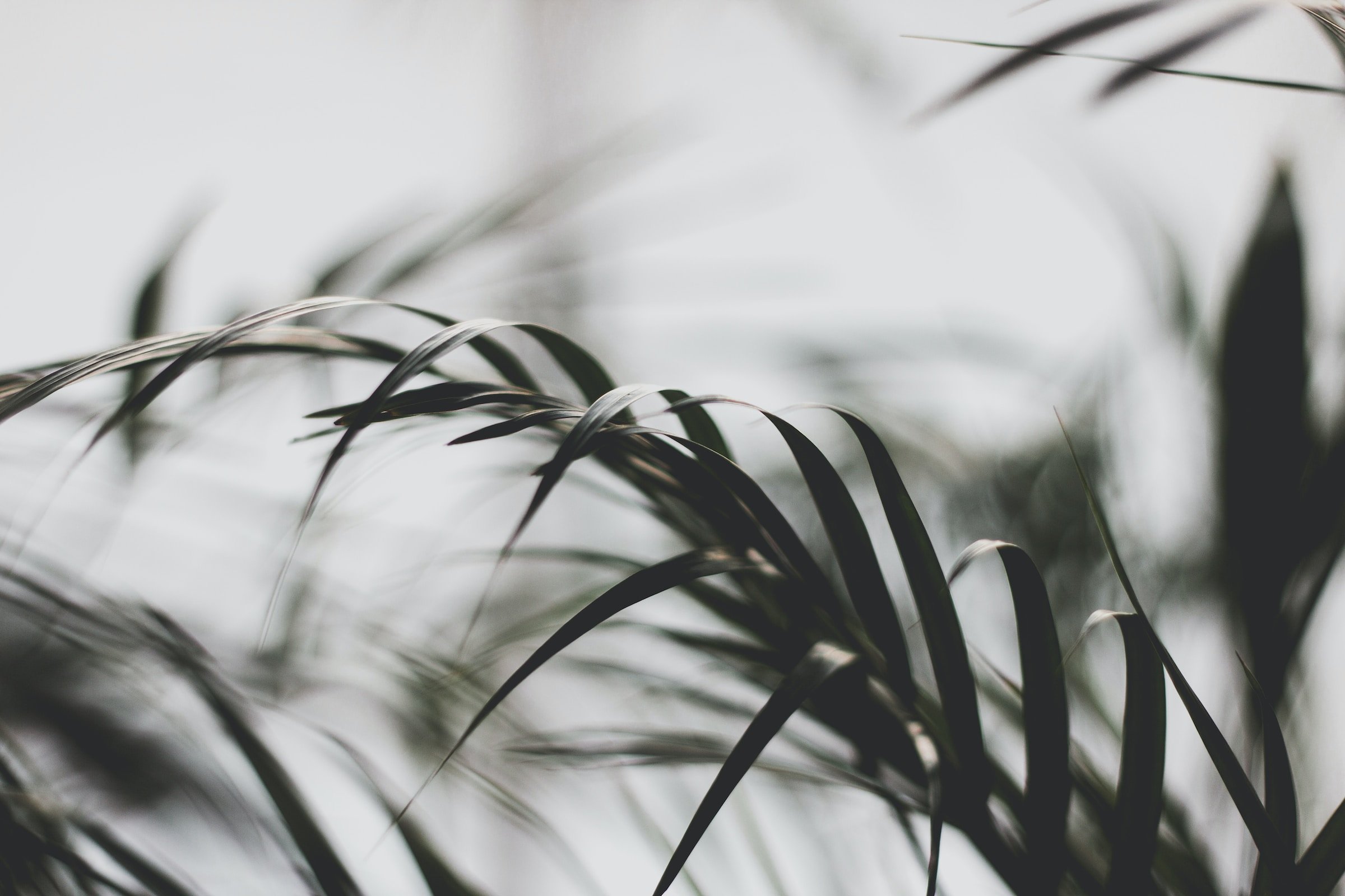 How To Create a Daily Meditation Practice