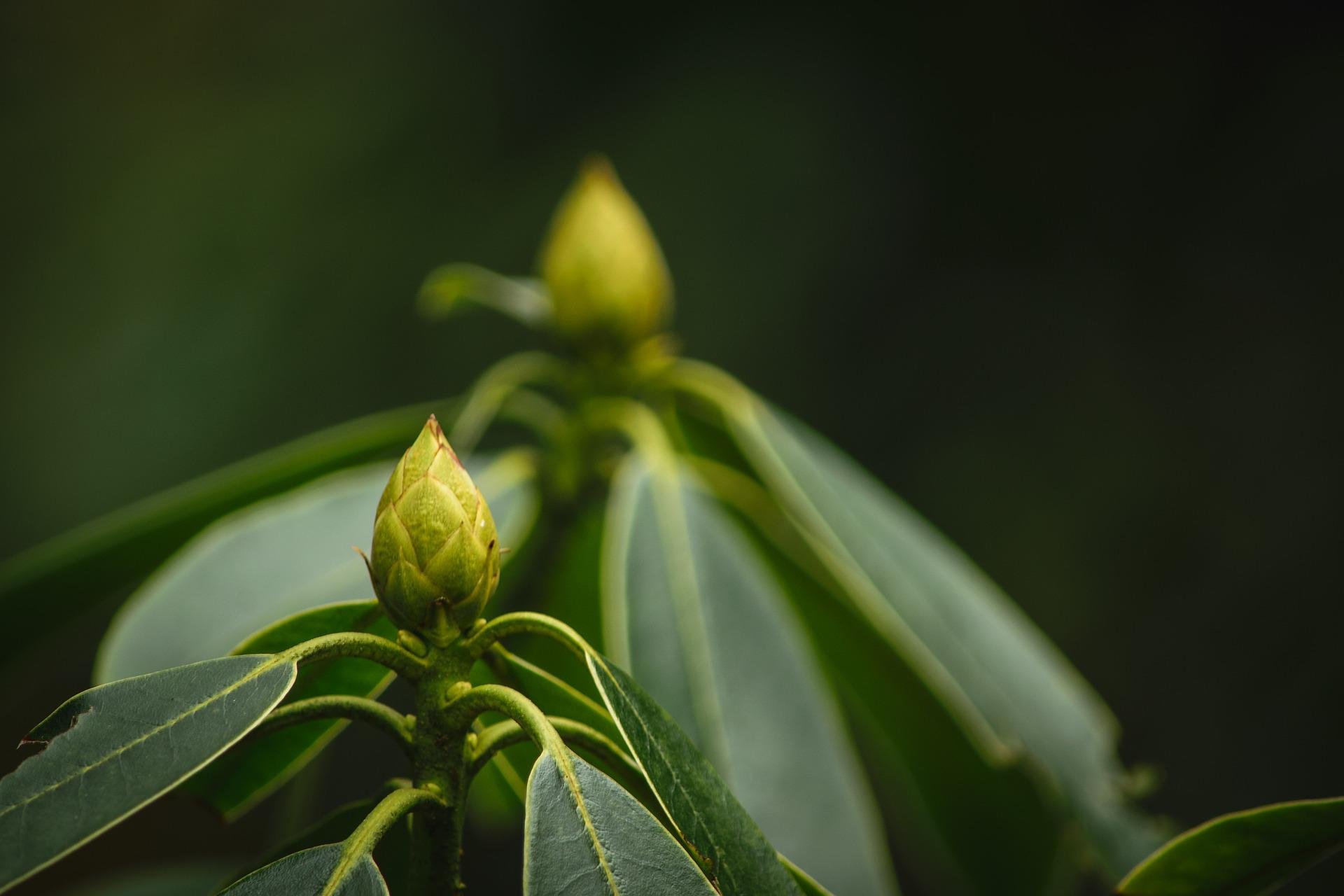 Self-Care and COVID-19: An Invitation
