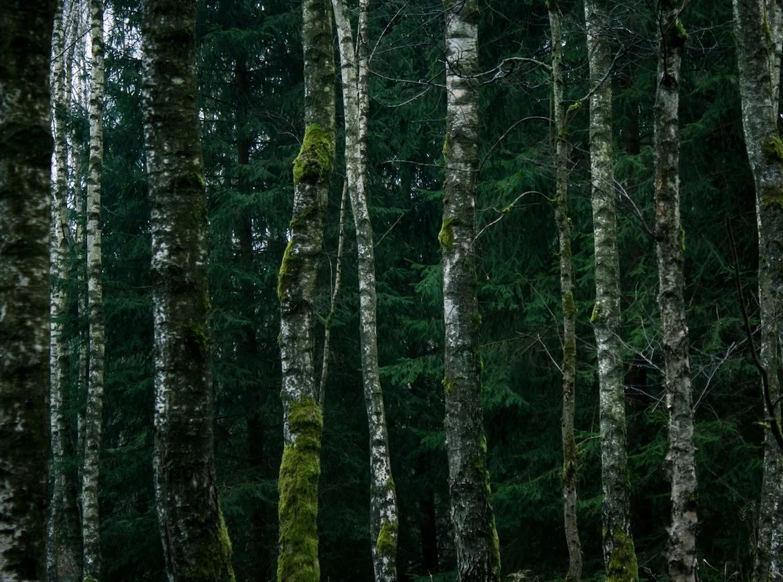 The Entity Will See You Now