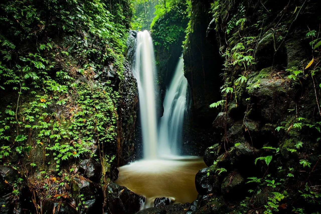 tropical waterfall edged with green vines flowing into a sunlit pool
